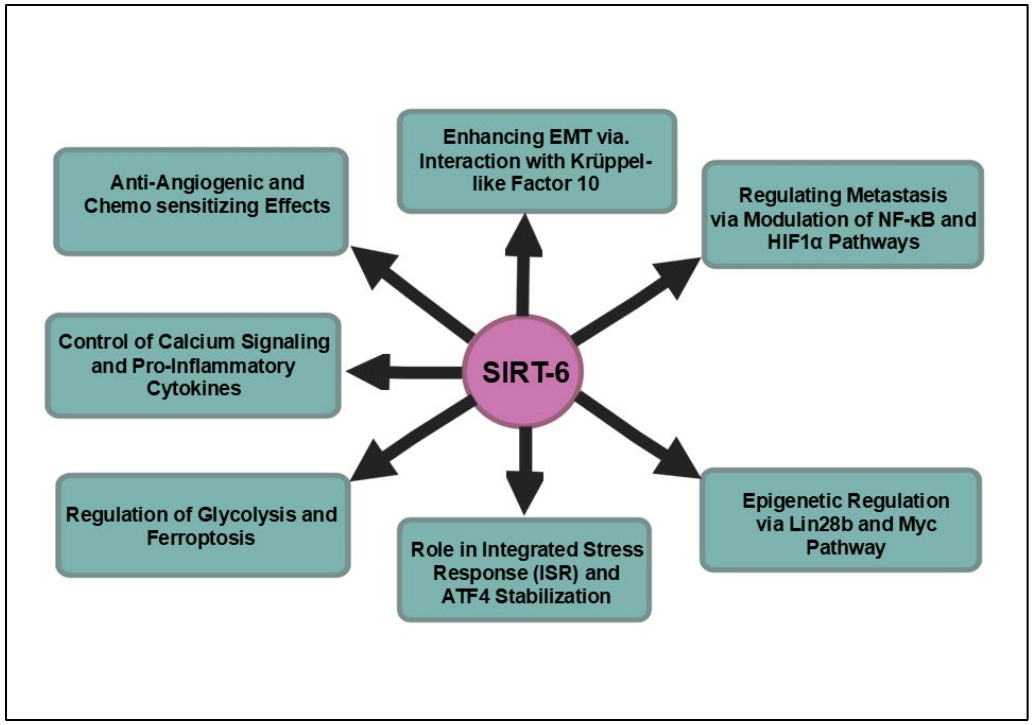 Cancers 16 04095 g006 Cancers 16 04095 g006
