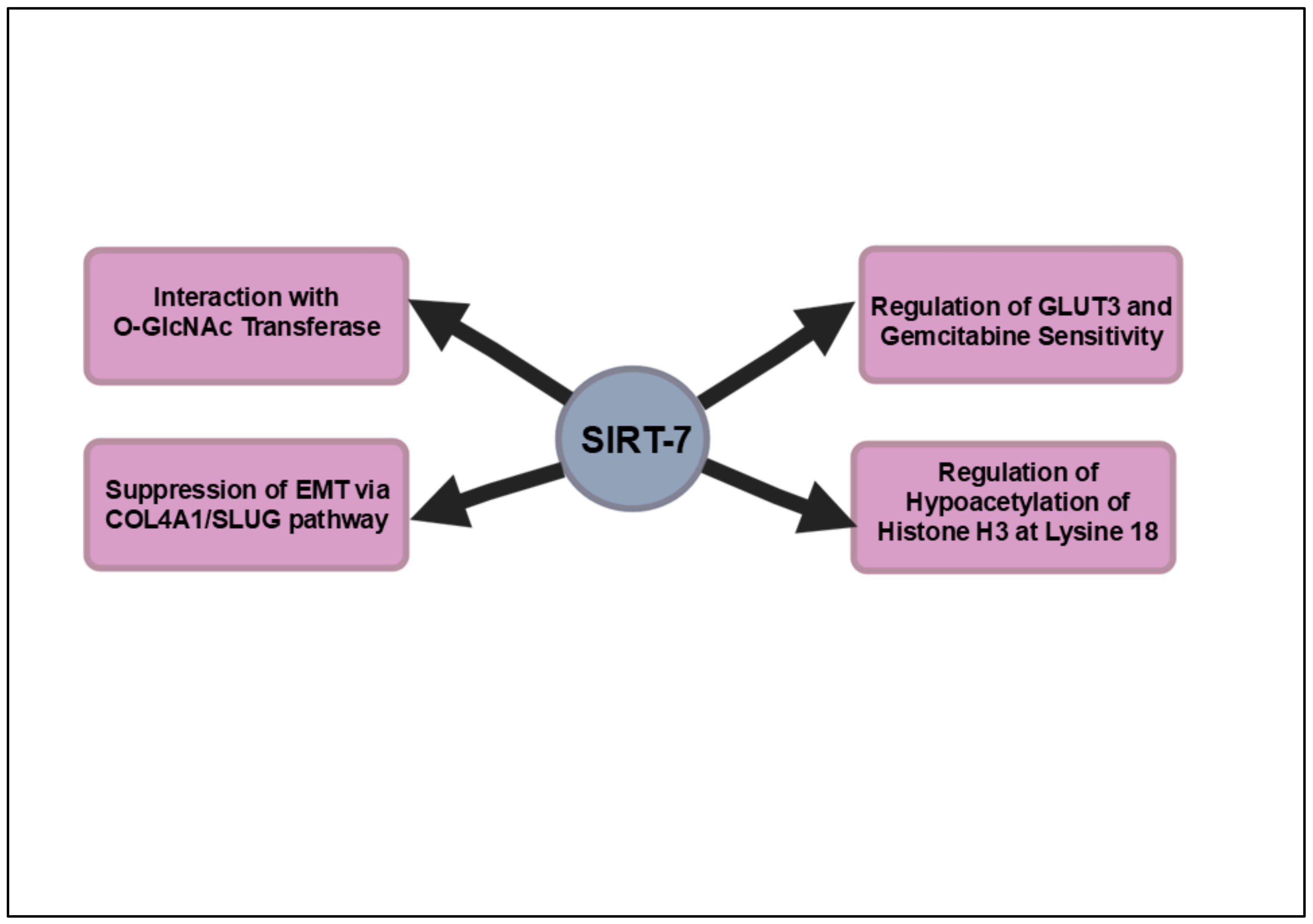 Cancers 16 04095 g007 Cancers 16 04095 g007
