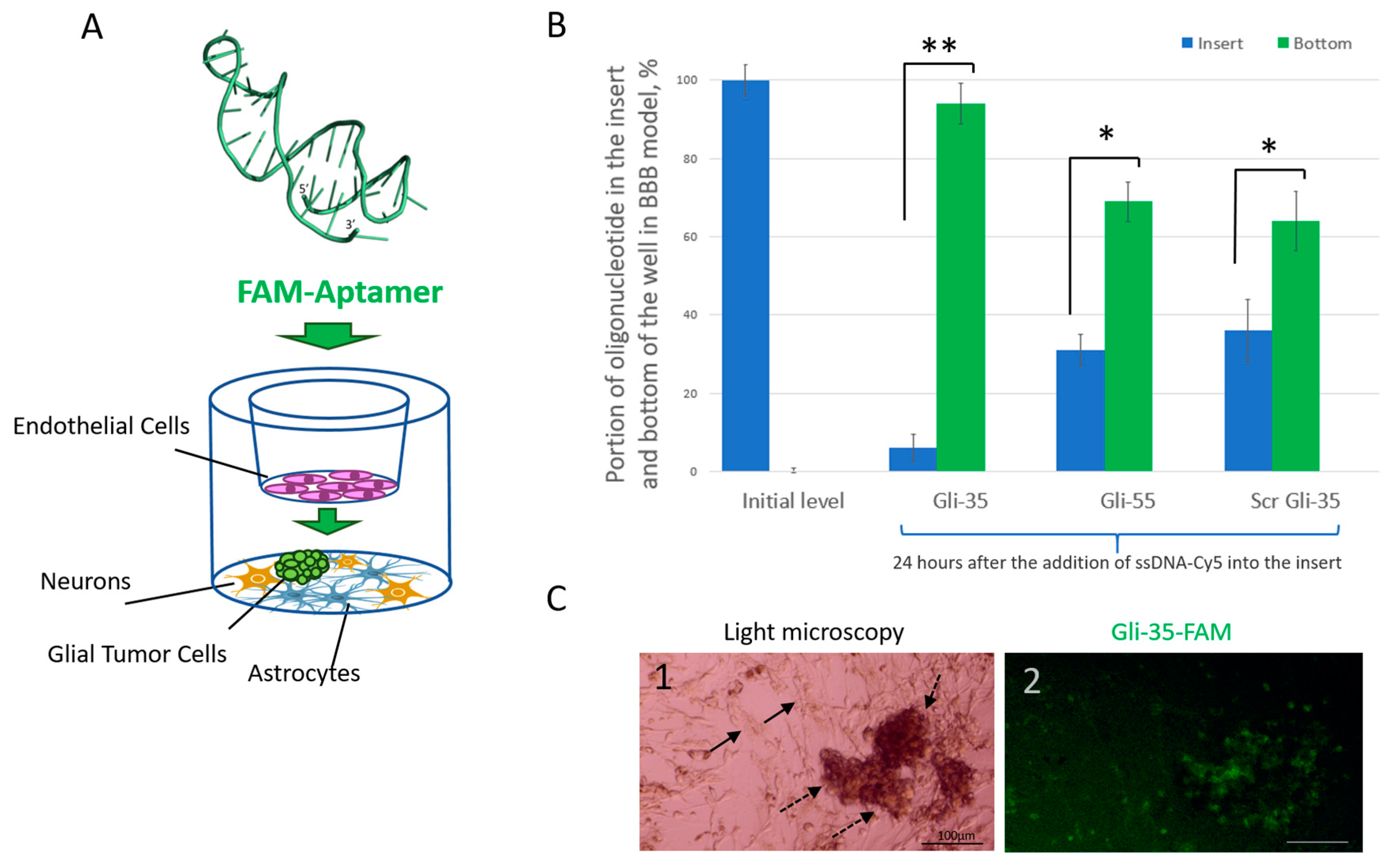 Cancers 16 04111 g009
