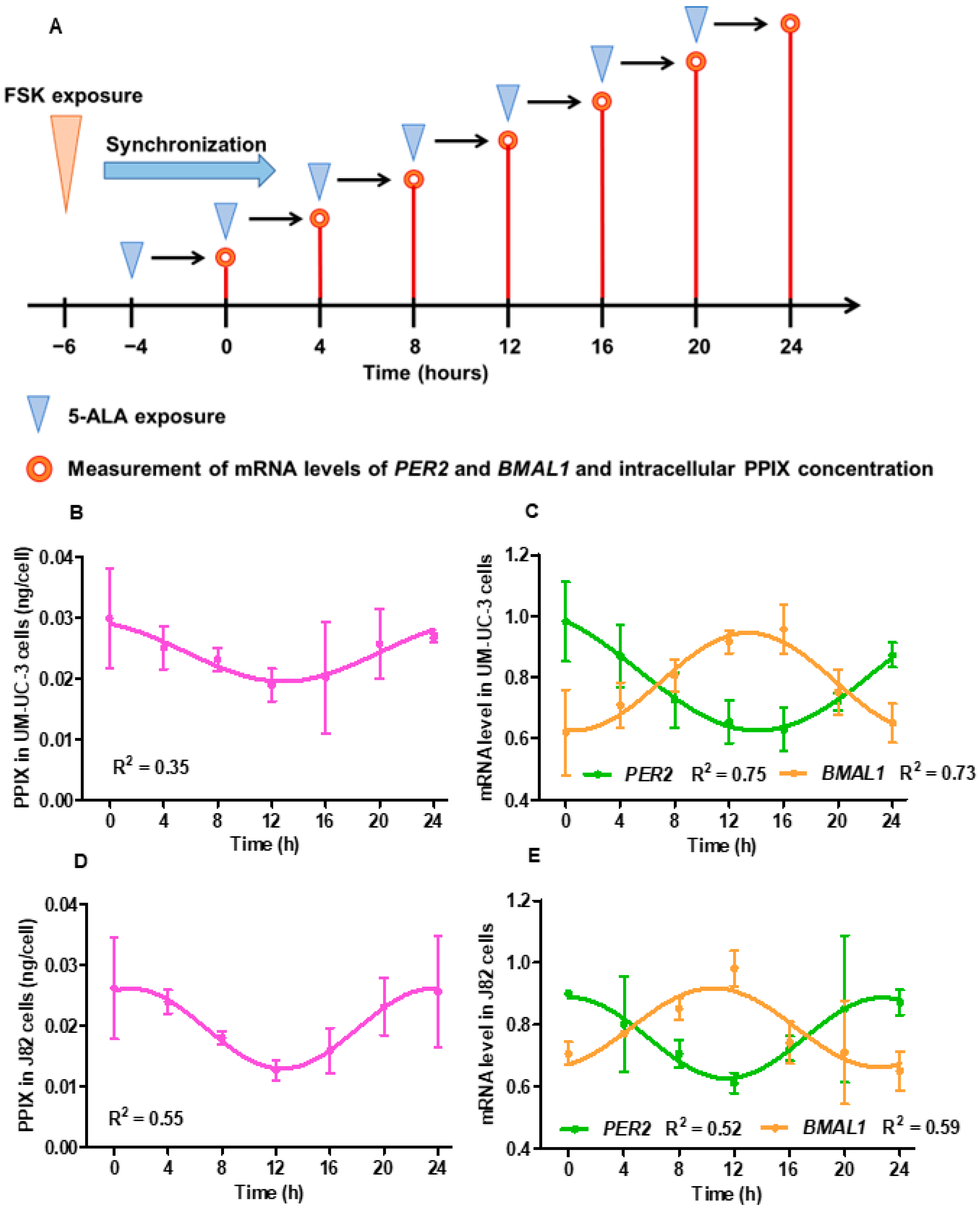 Cancers 16 04112 g001