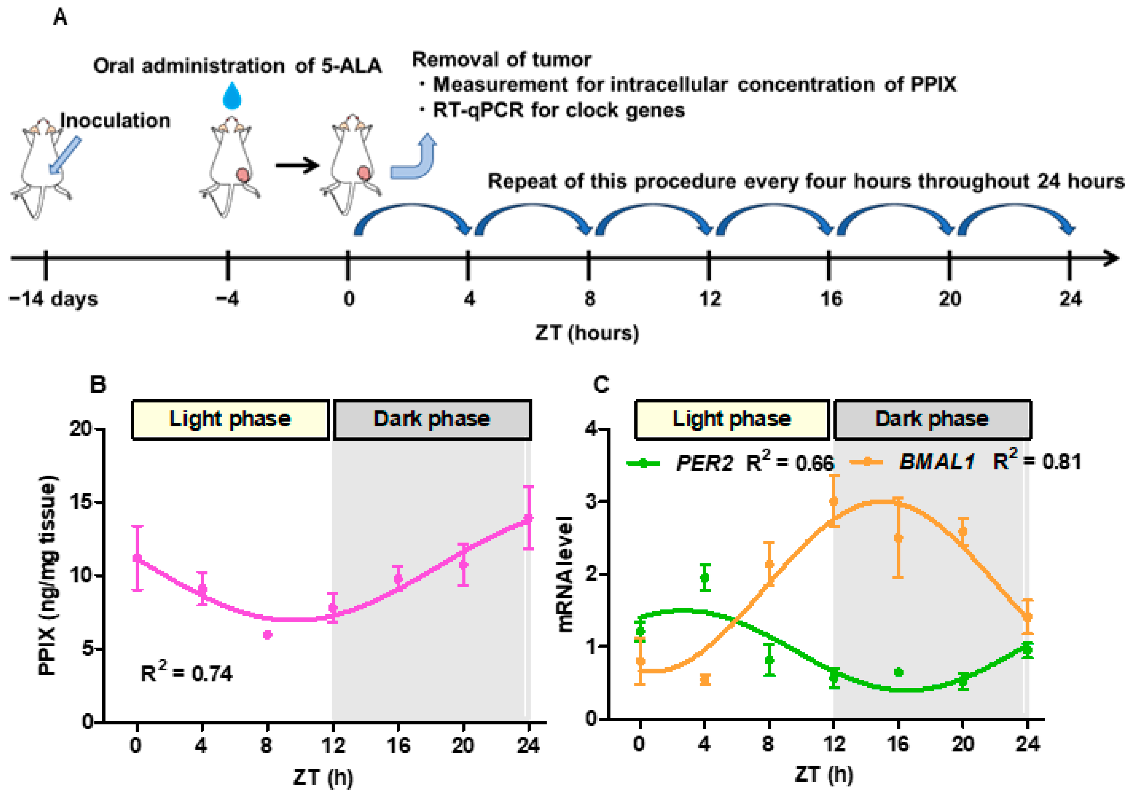 Cancers 16 04112 g003