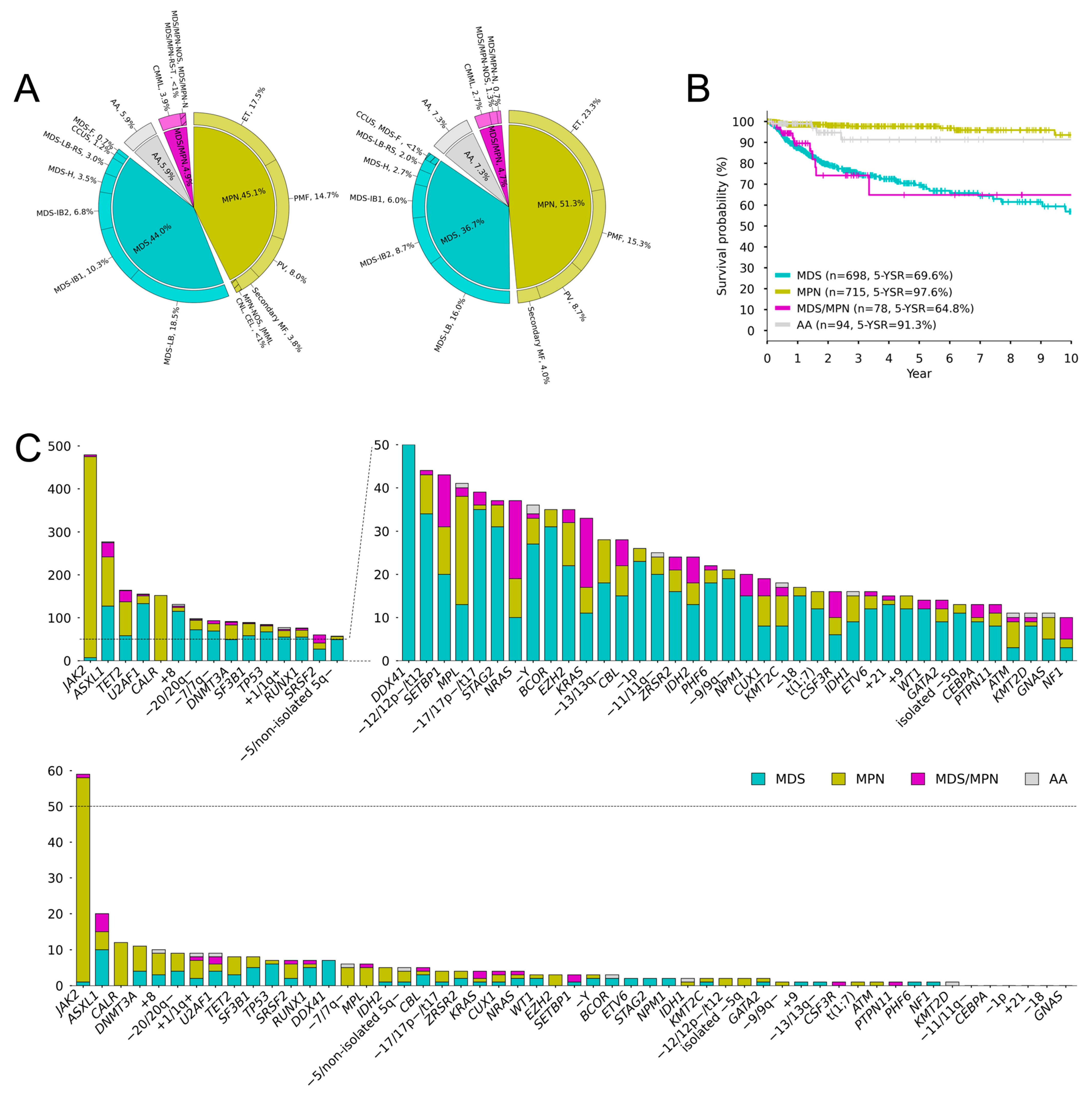 Cancers 16 04121 g001