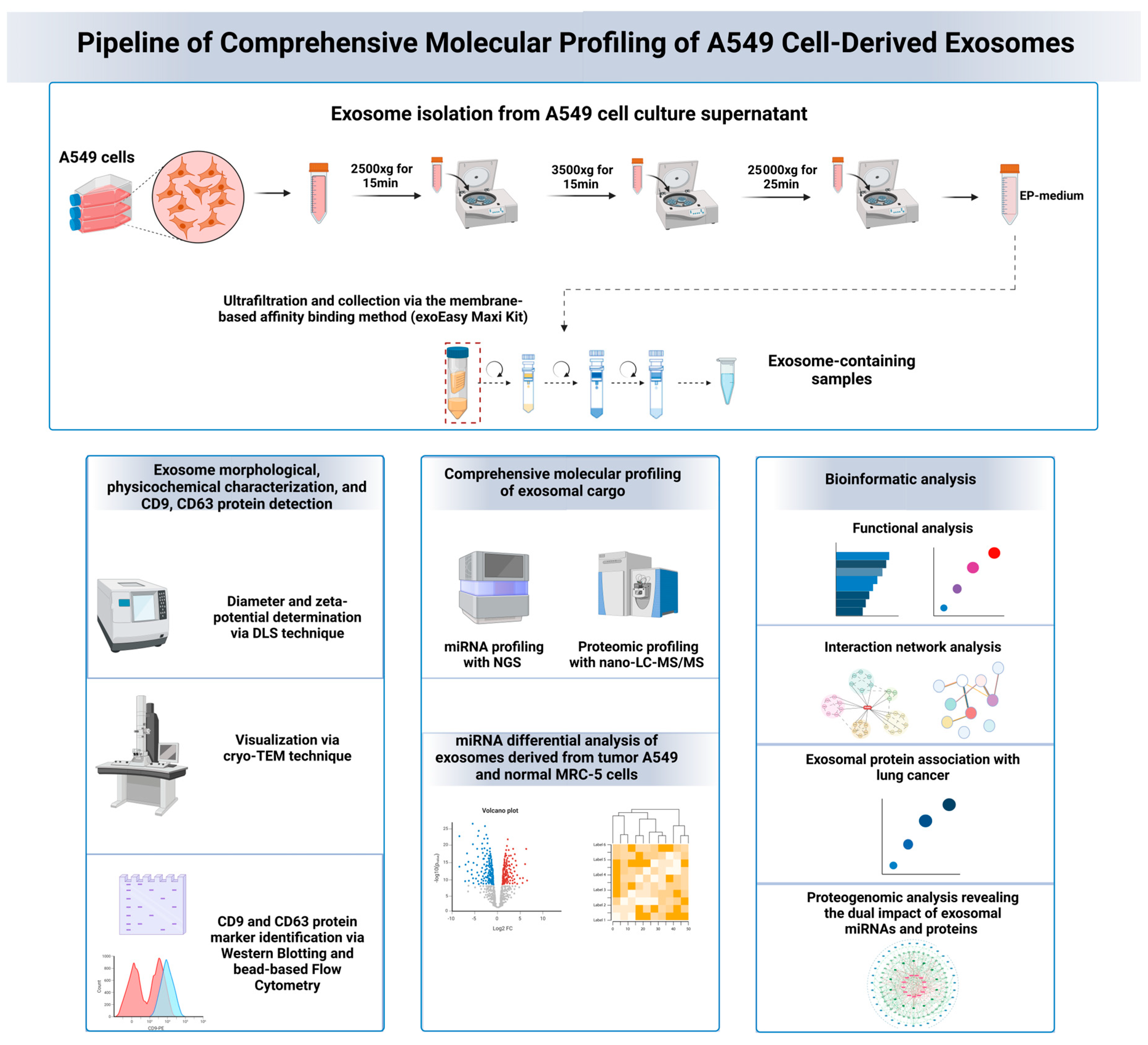 Cancers 16 04123 g001