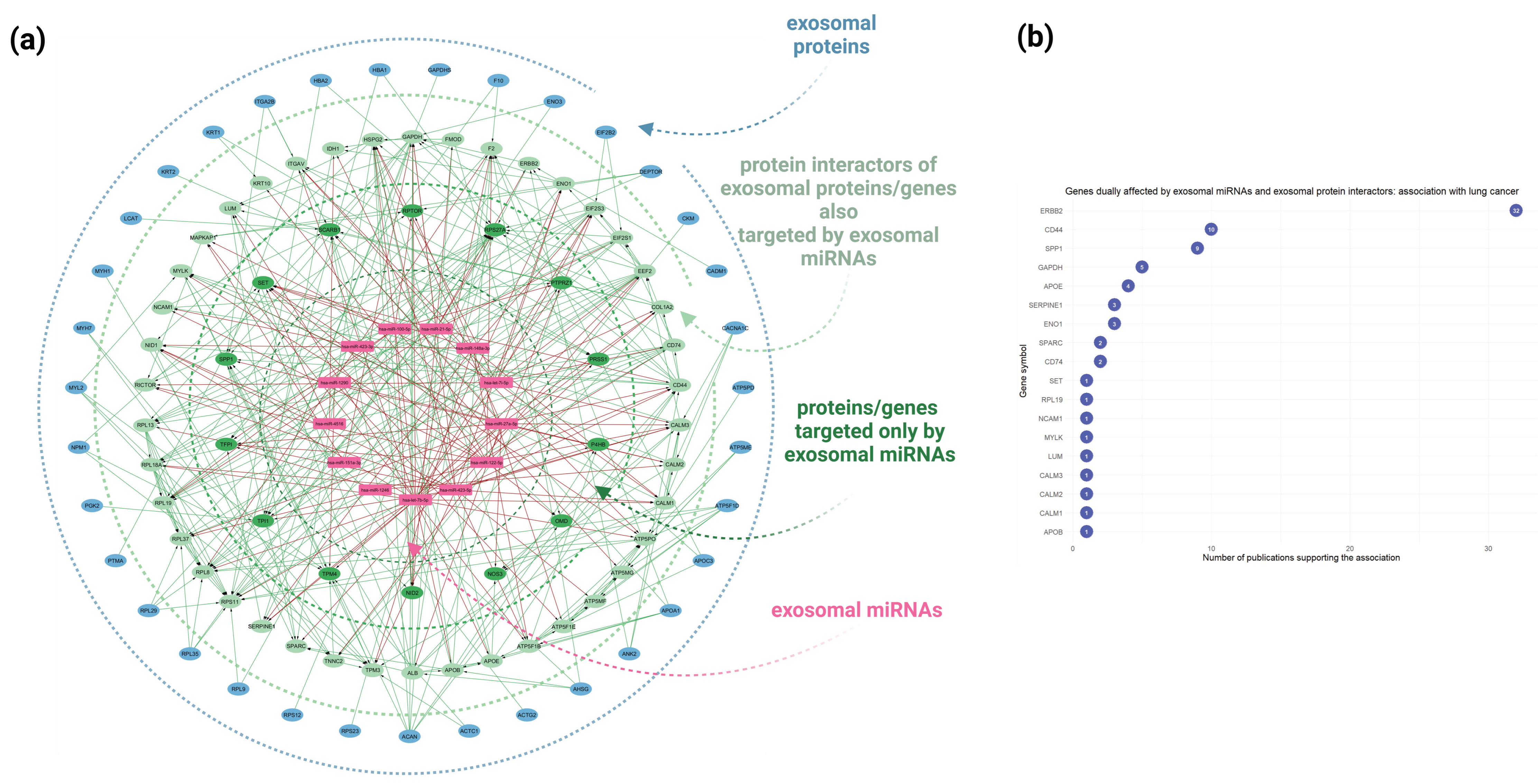 Cancers 16 04123 g006