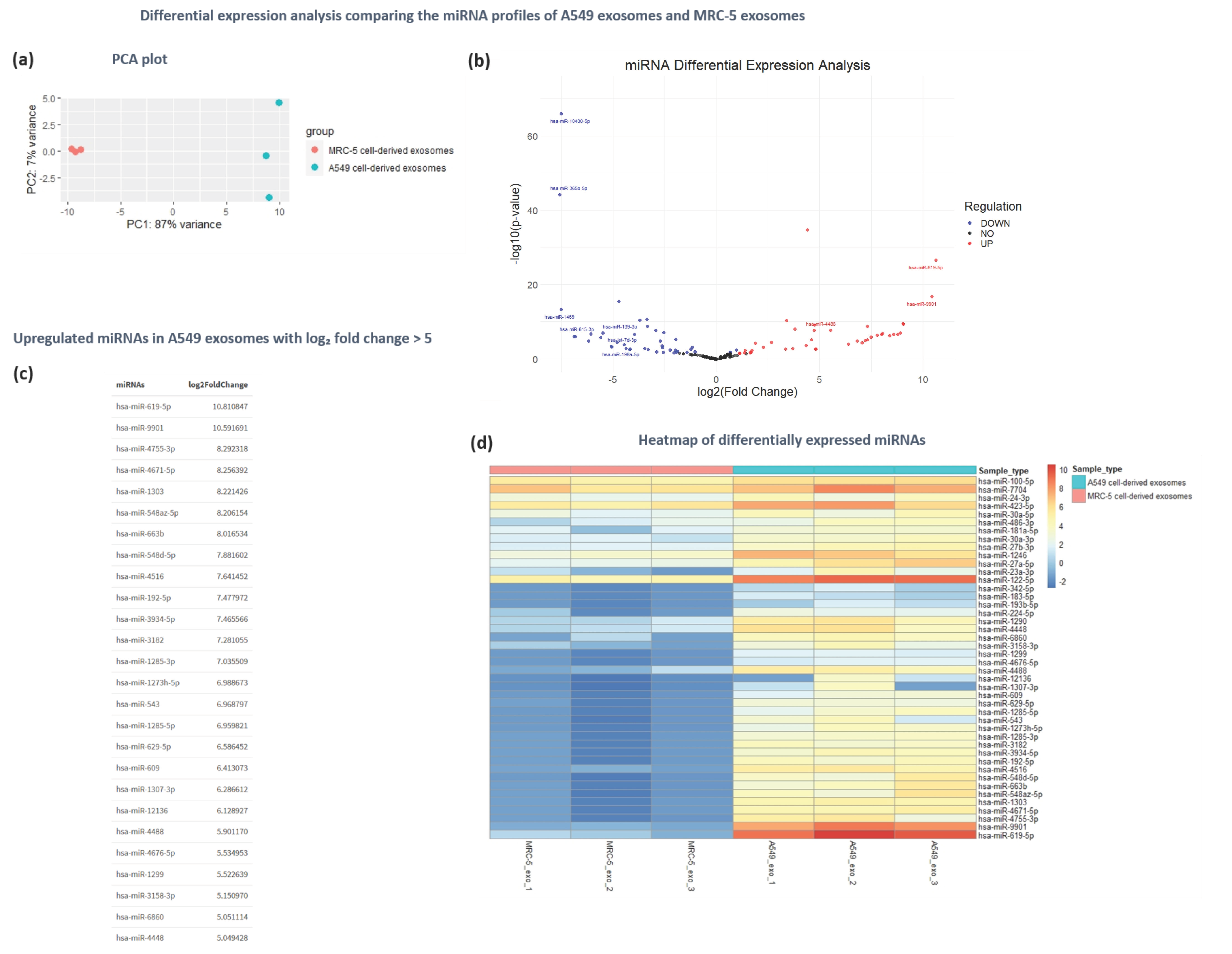 Cancers 16 04123 g007