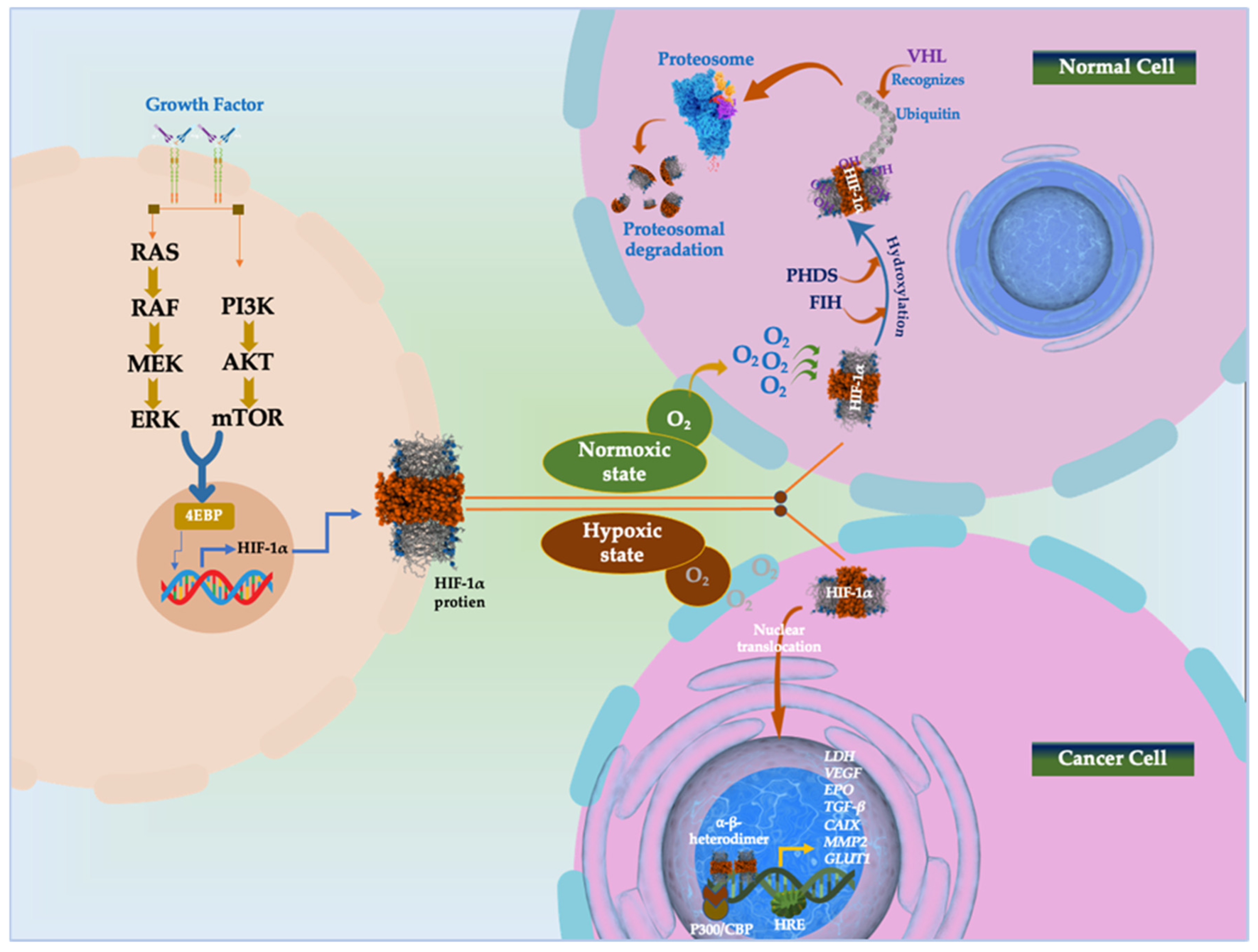 Cancers 16 04132 g003 Cancers 16 04132 g003