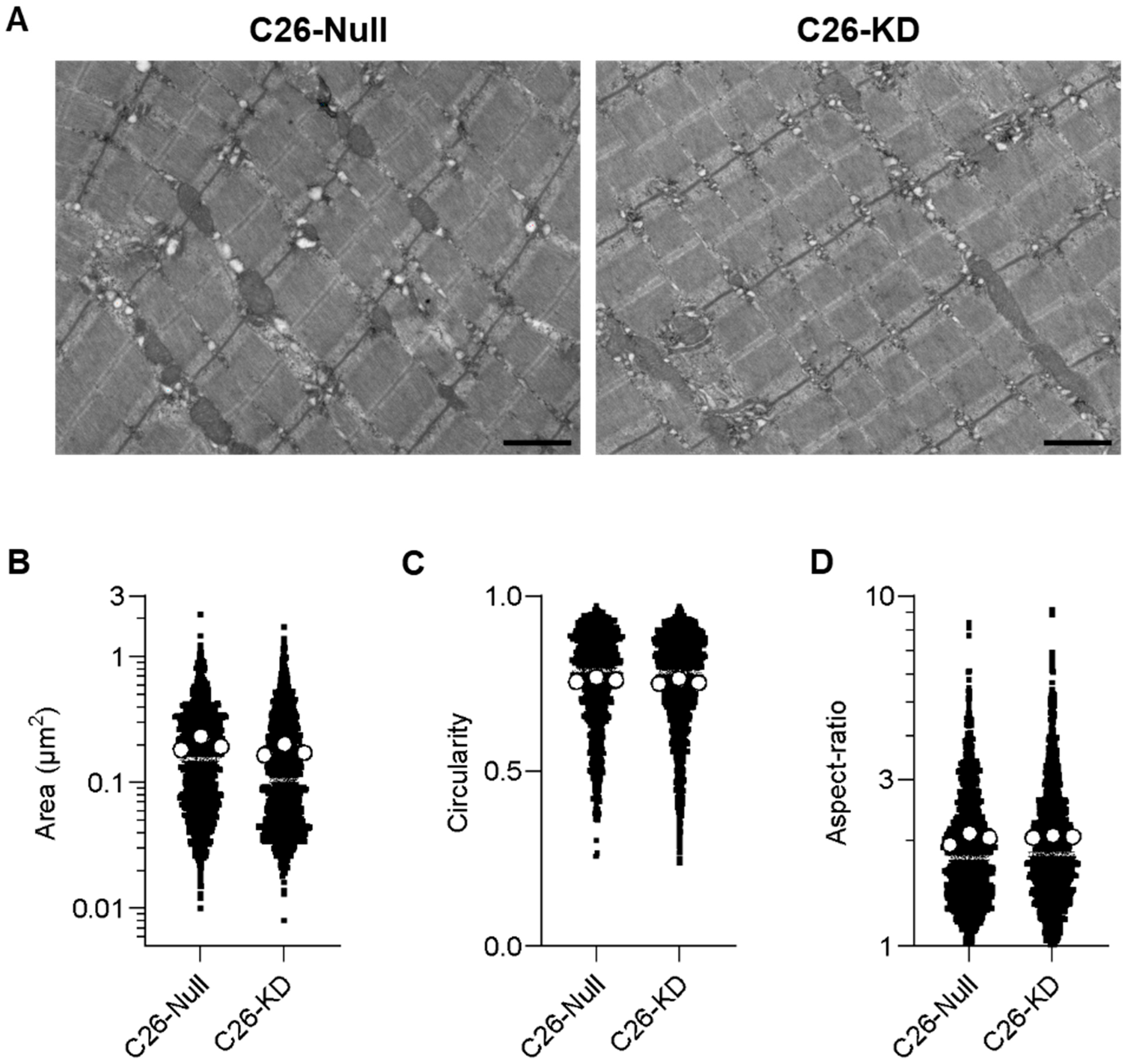 Cancers 16 04133 g0a3