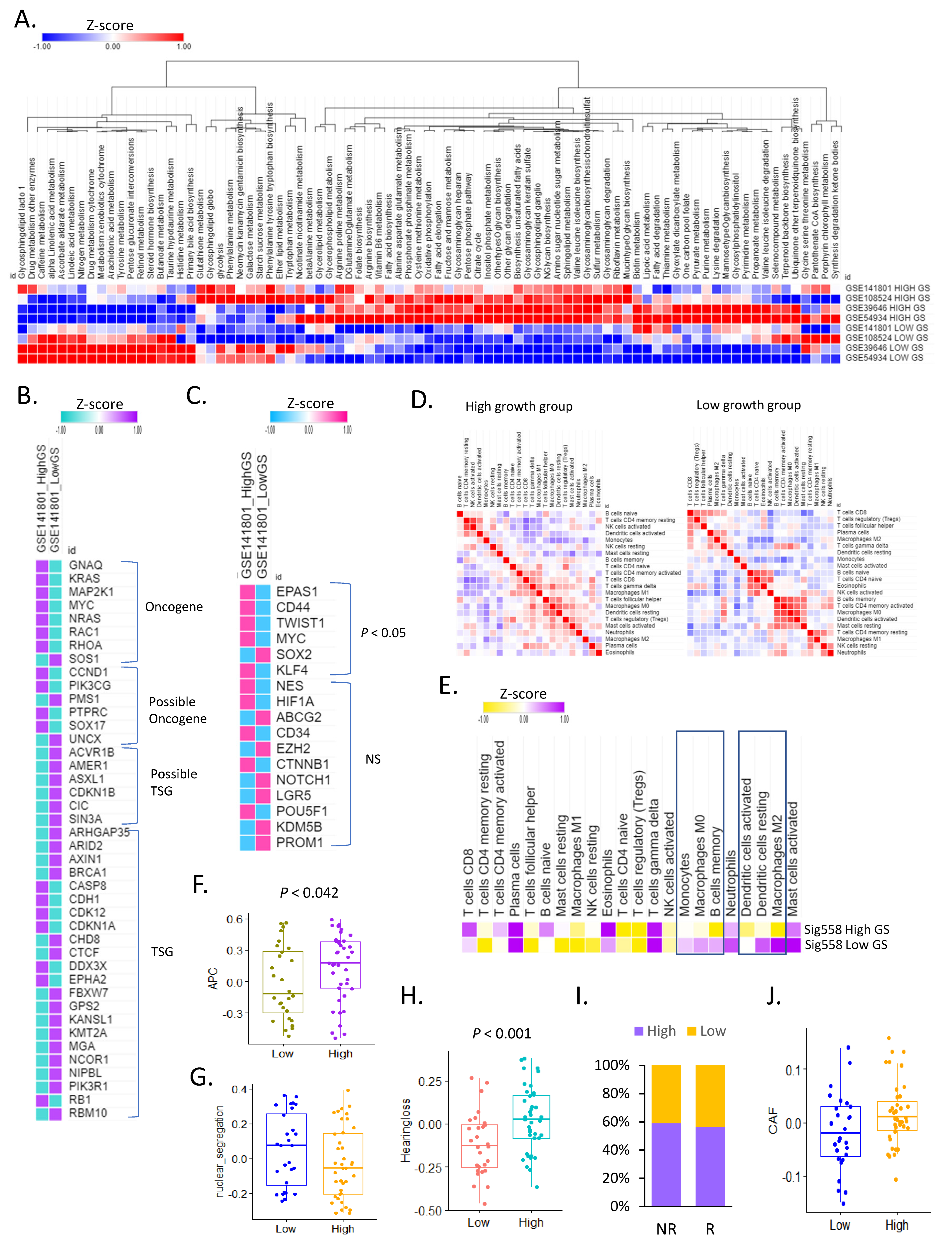 Cancers 16 04134 g002