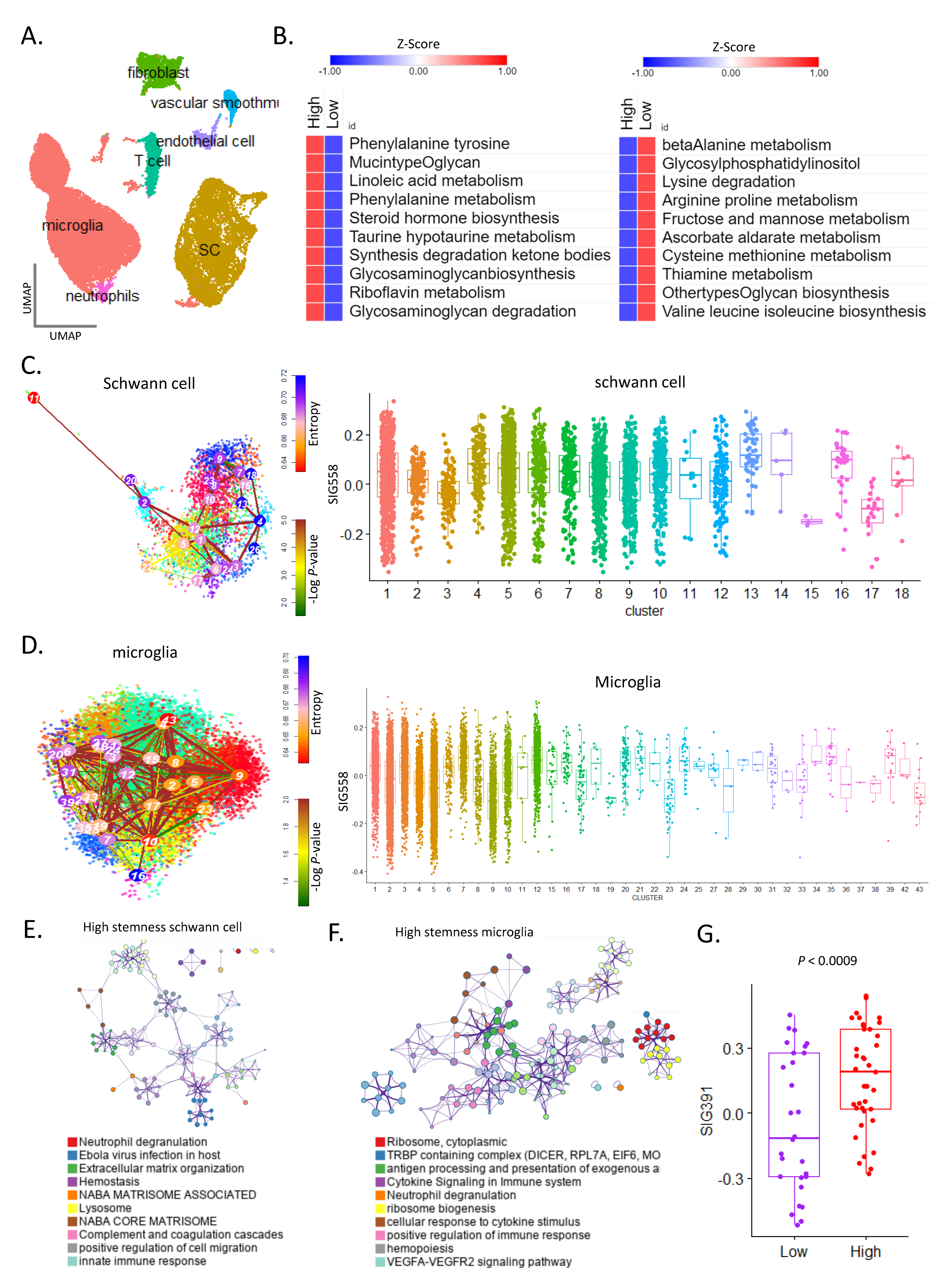 Cancers 16 04134 g003