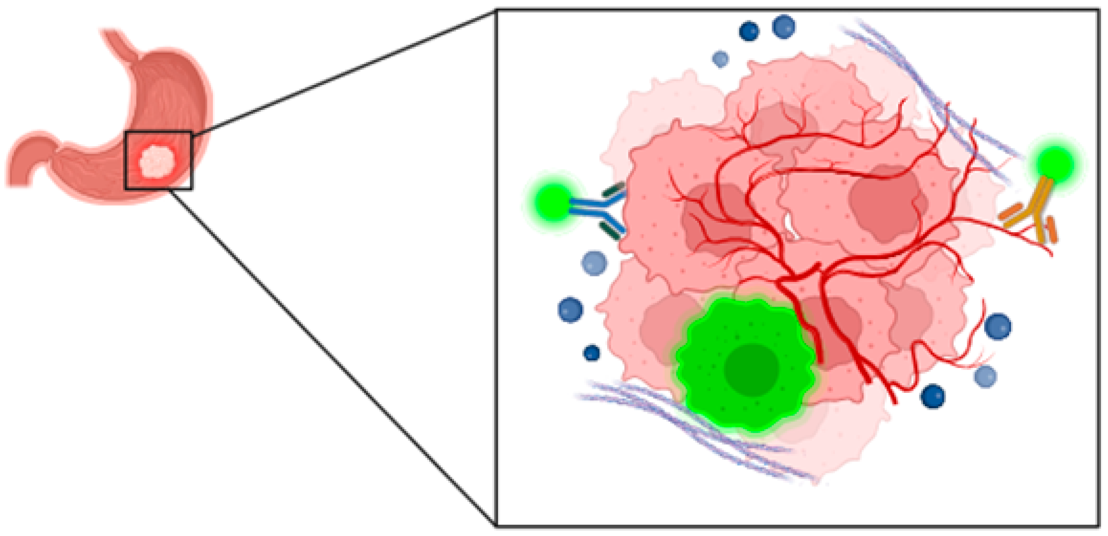 Cancers 16 04141 g004
