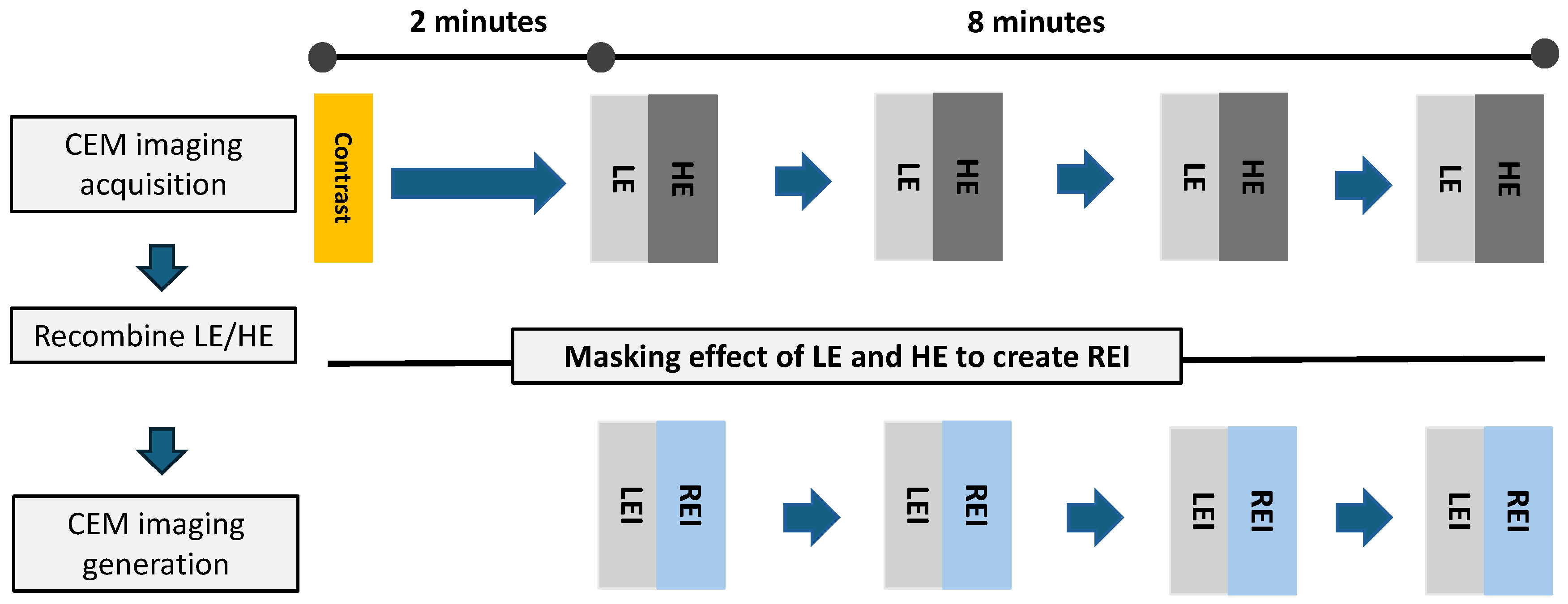 Cancers 16 04143 g001