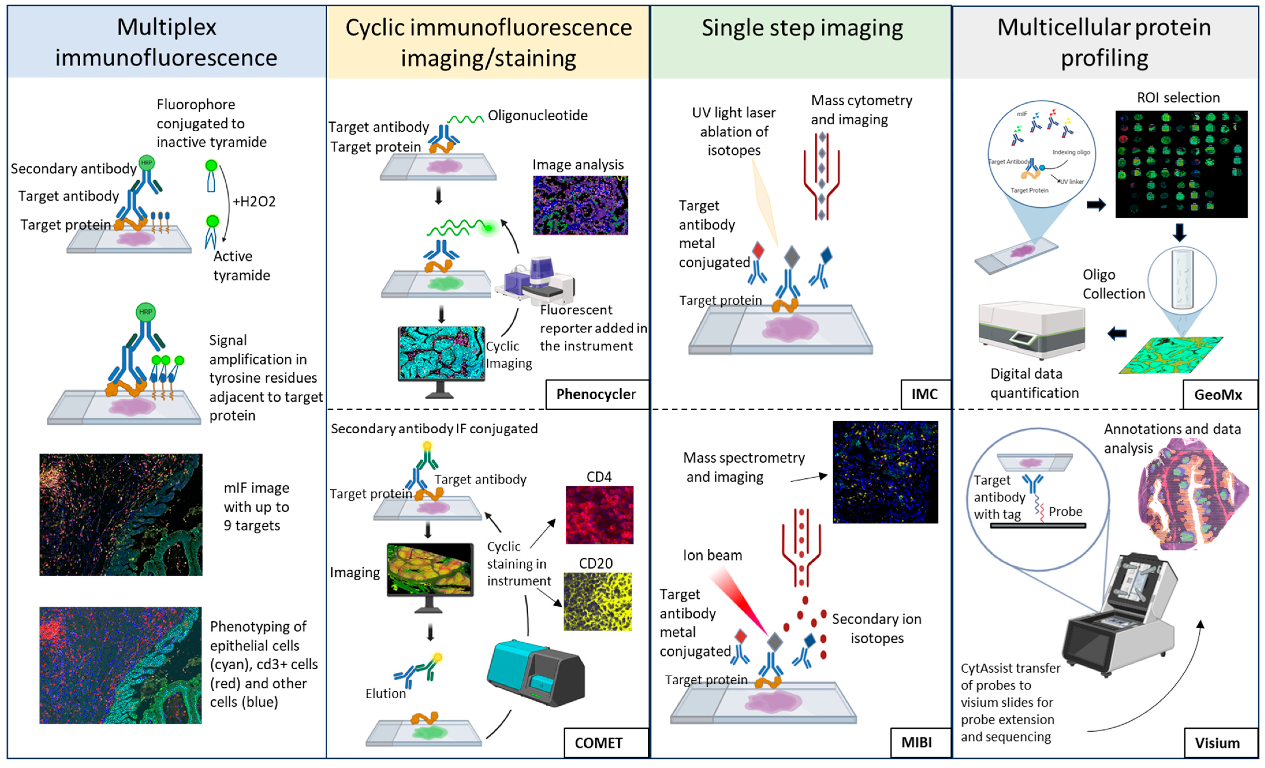 Cancers 16 04145 g002
