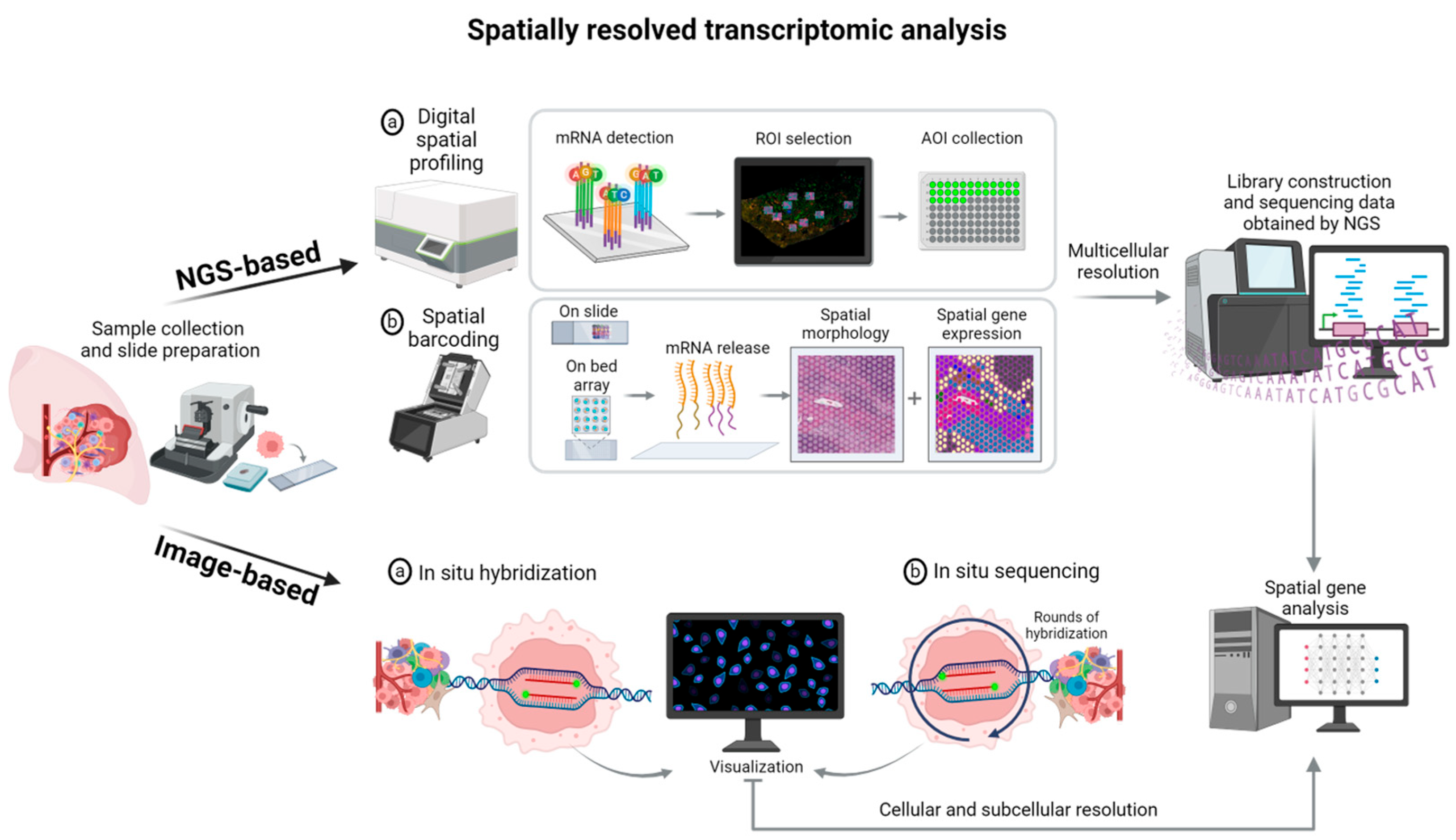 Cancers 16 04145 g003