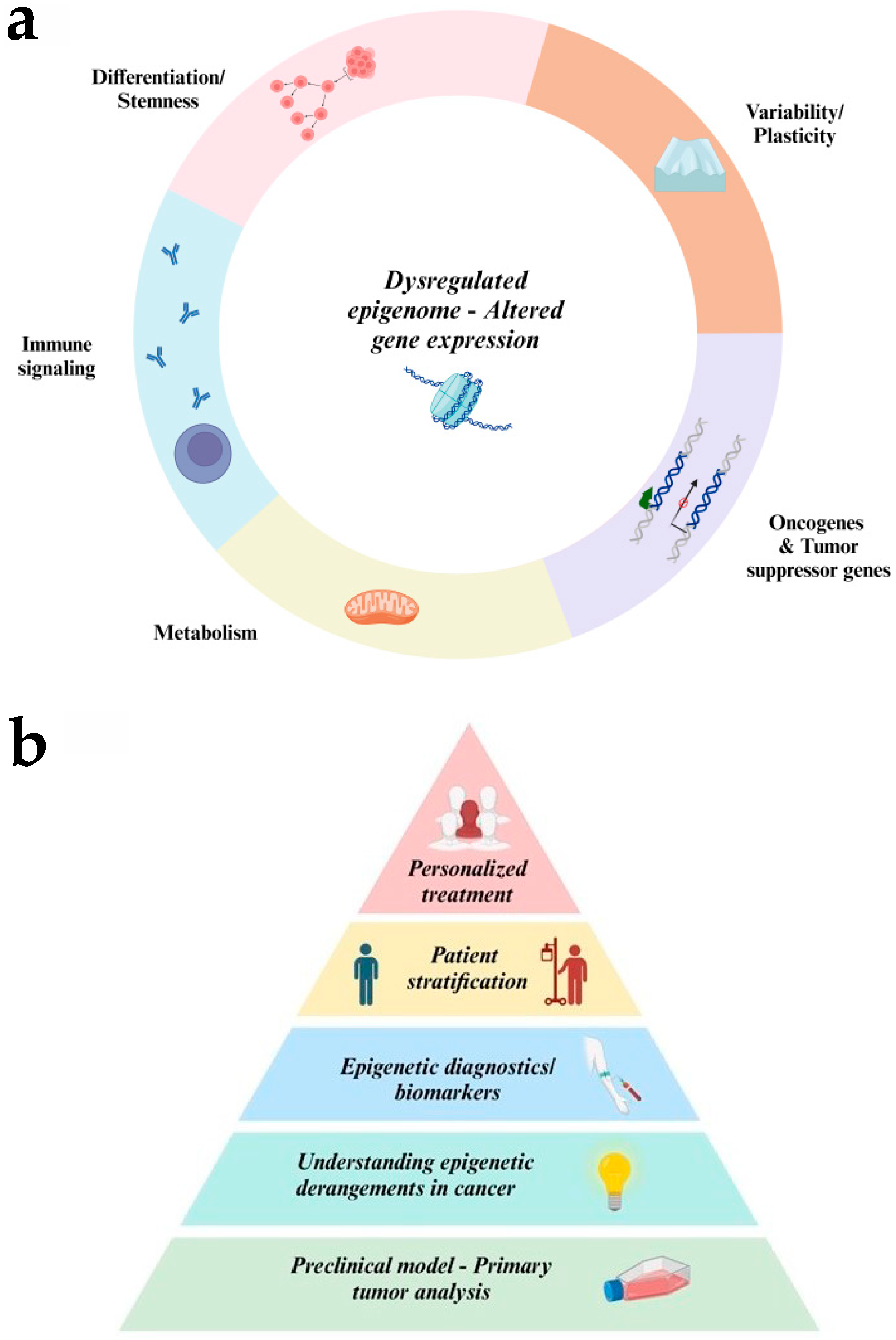 Cancers 16 04149 g007