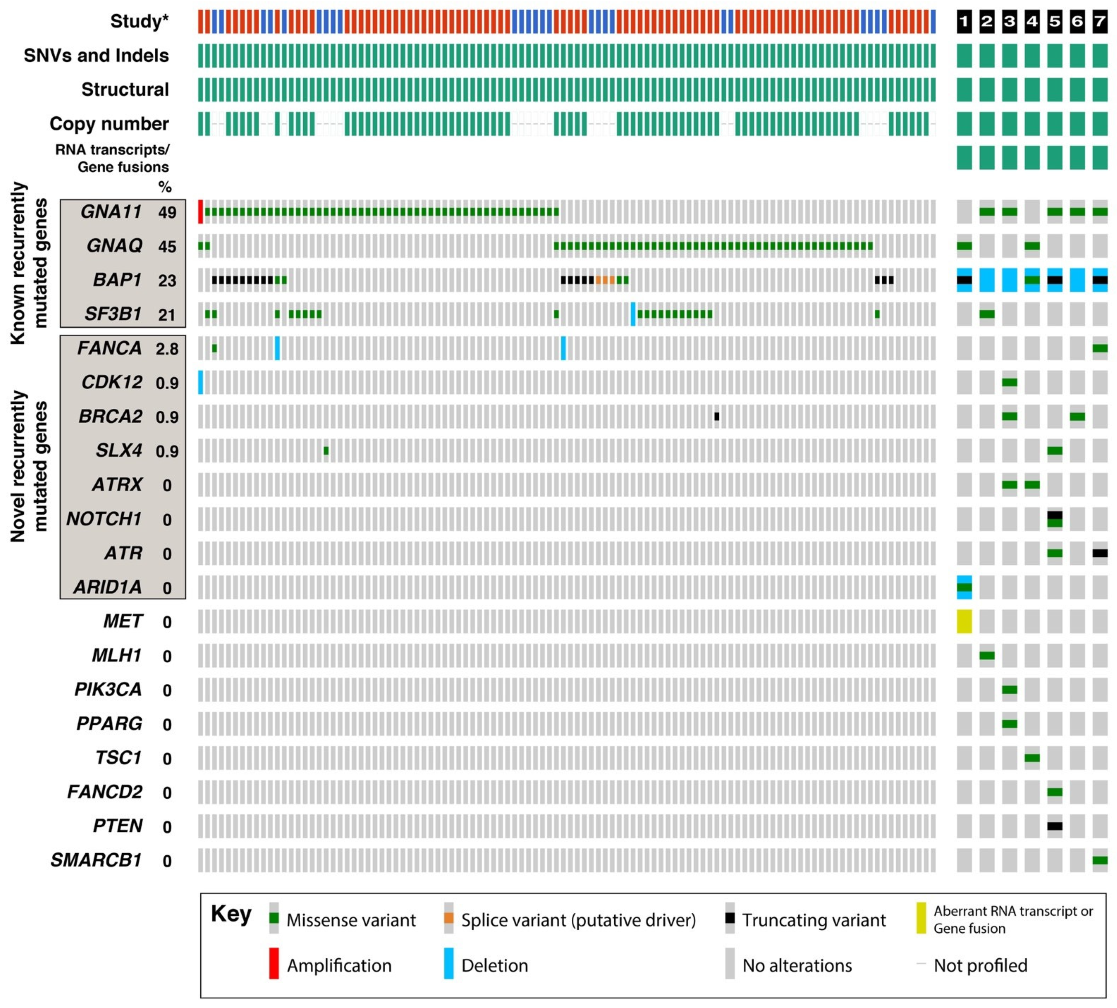 Cancers 16 04152 g002 Cancers 16 04152 g002