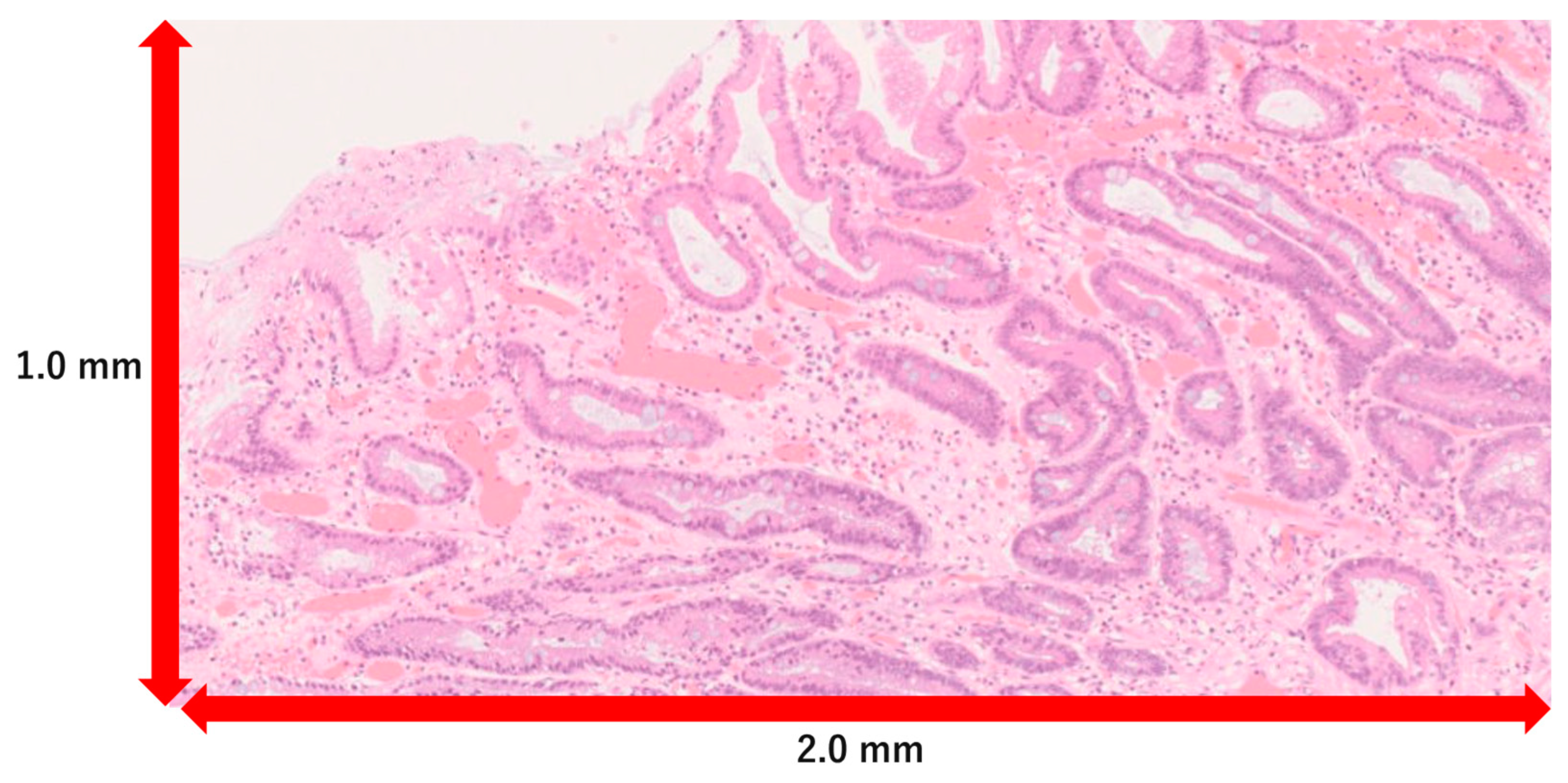 Cancers 16 04153 g003