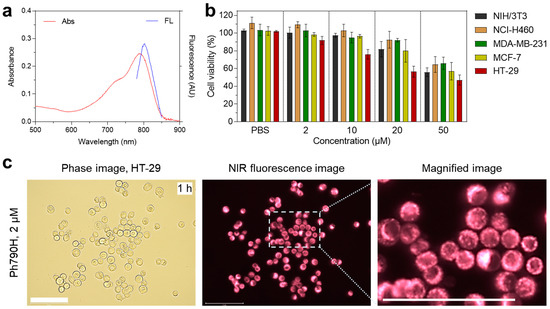A Phthalimide-Functionalized Heptamethine Cyanine Dye for