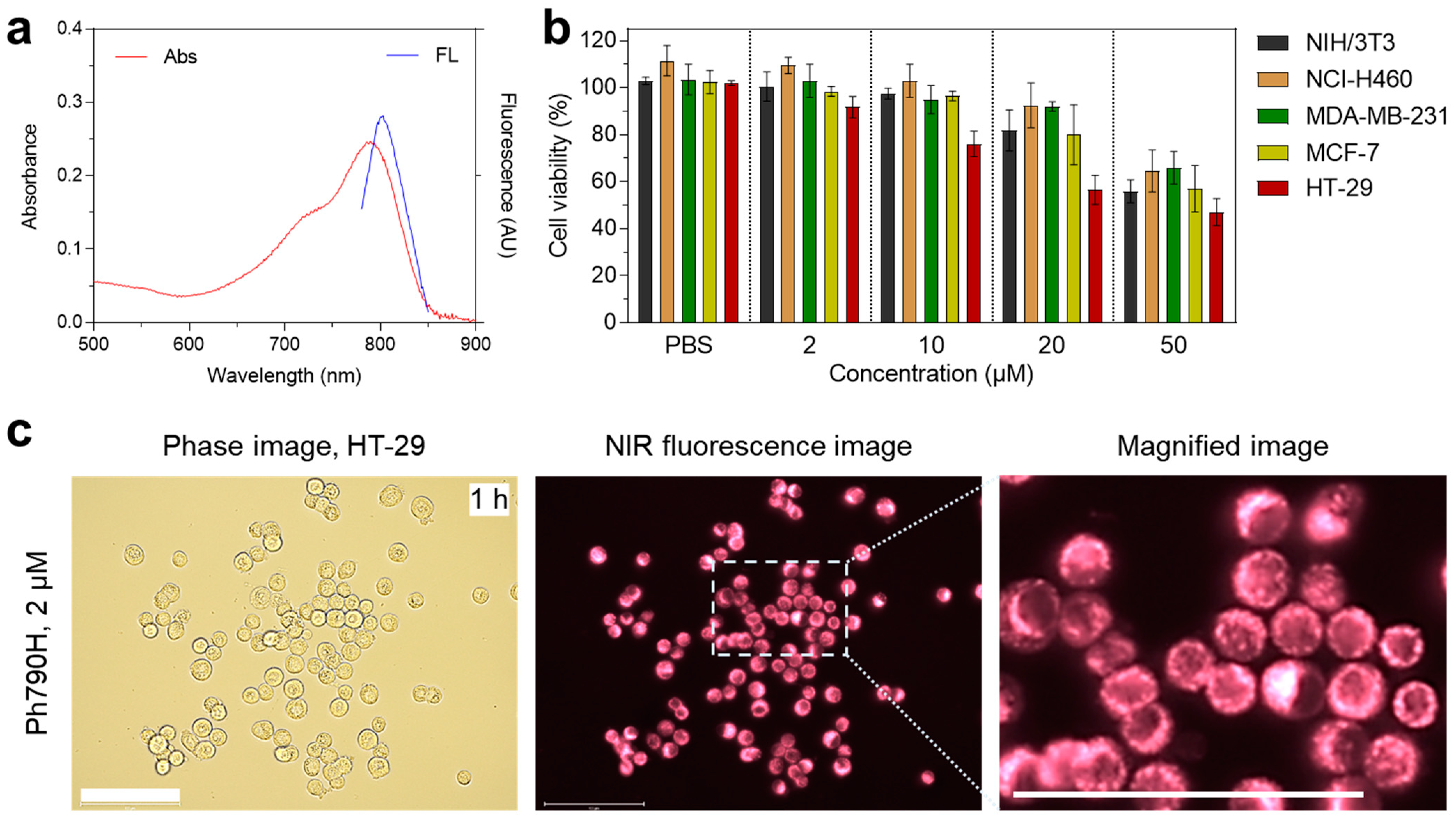 Cancers 16 04155 g002