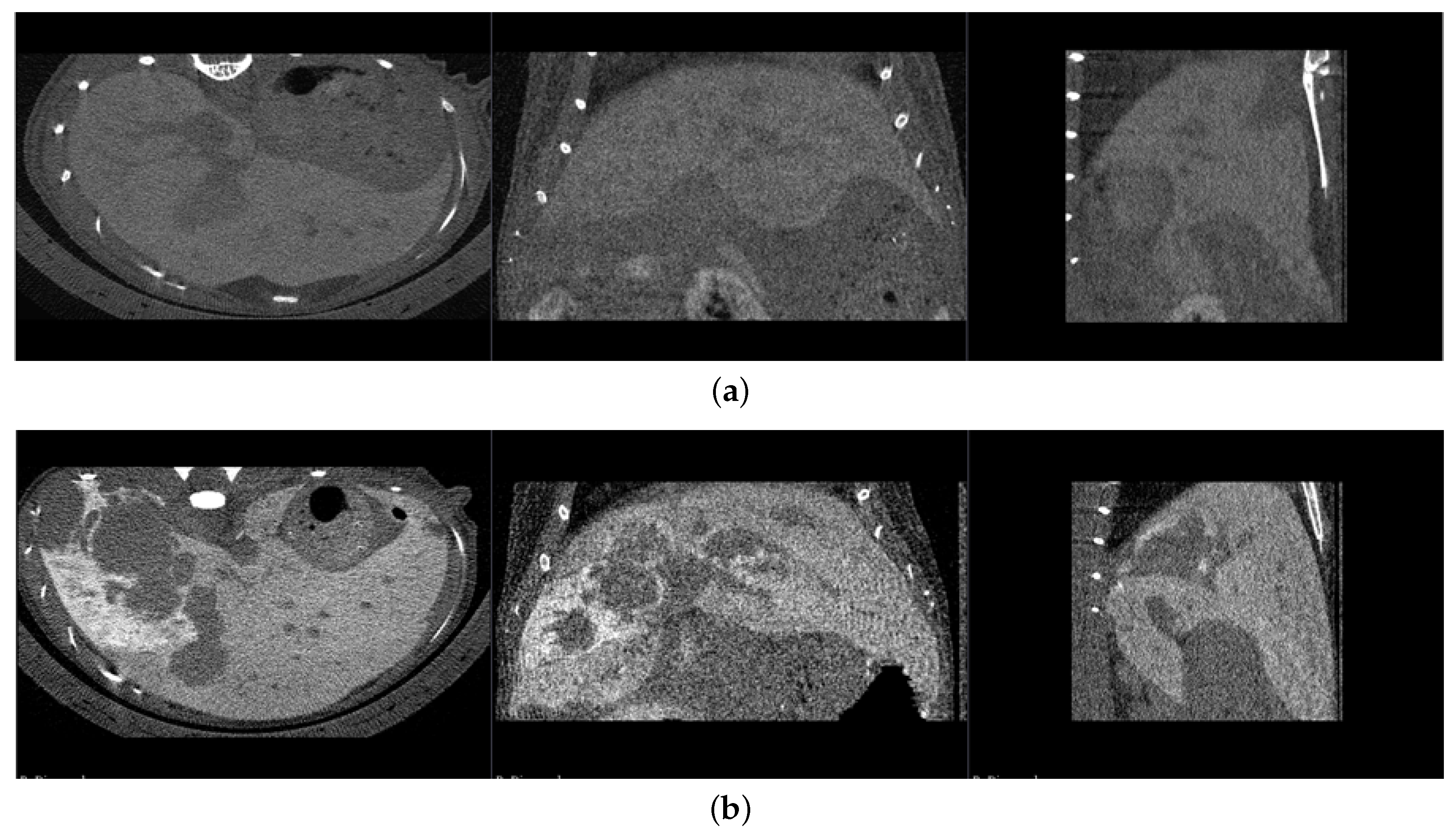 Cancers 16 04159 g002