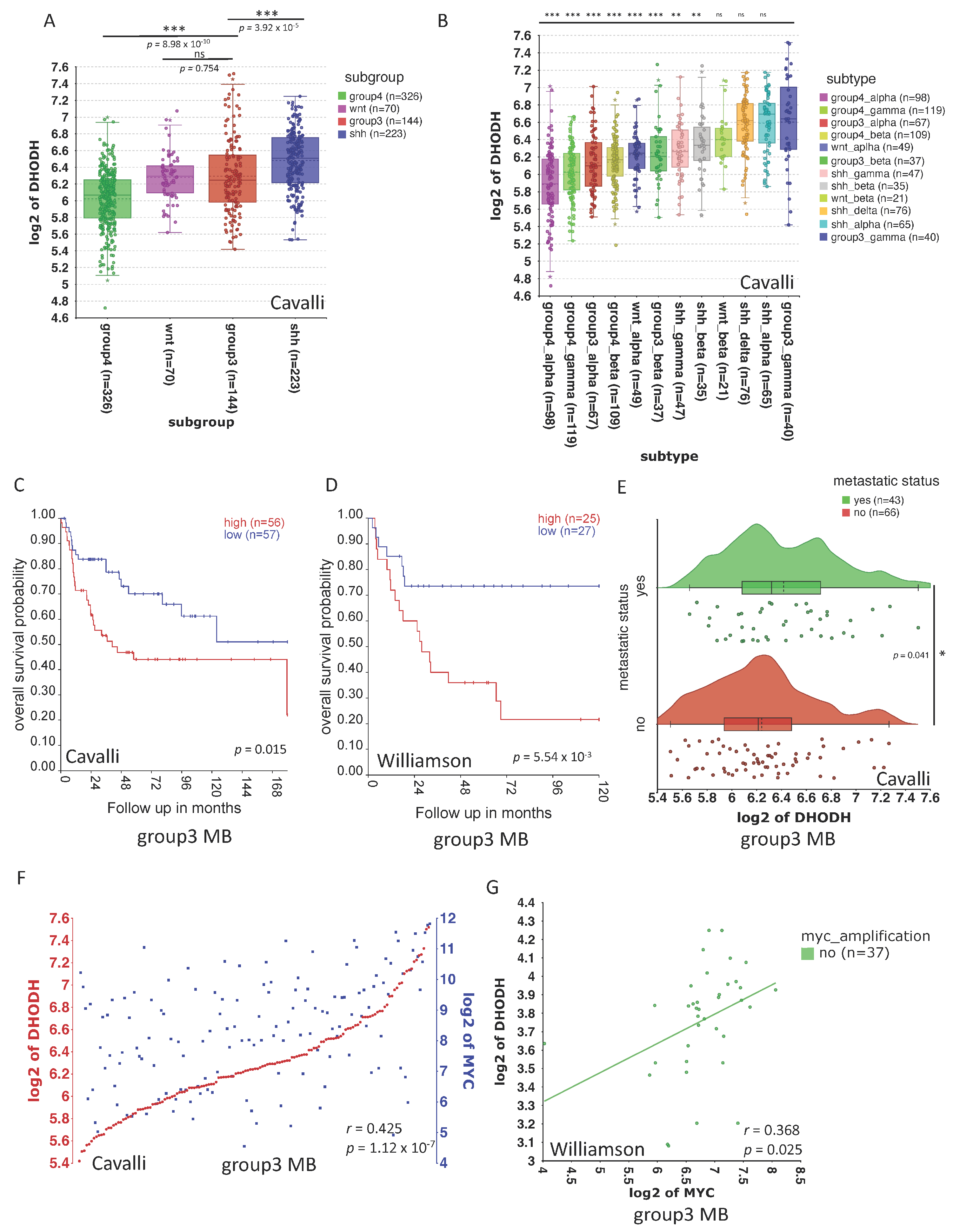 Cancers 16 04162 g001