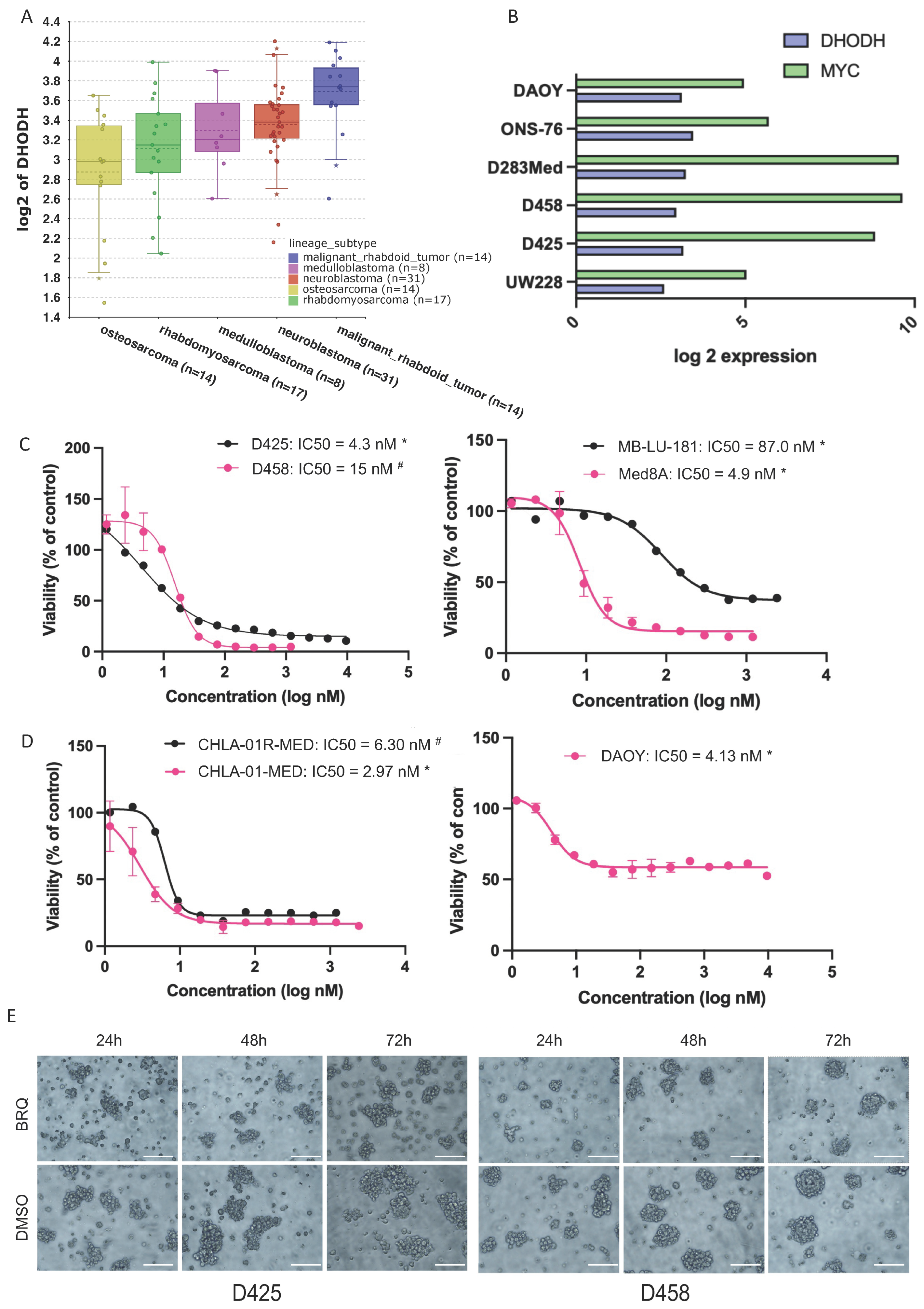Cancers 16 04162 g002