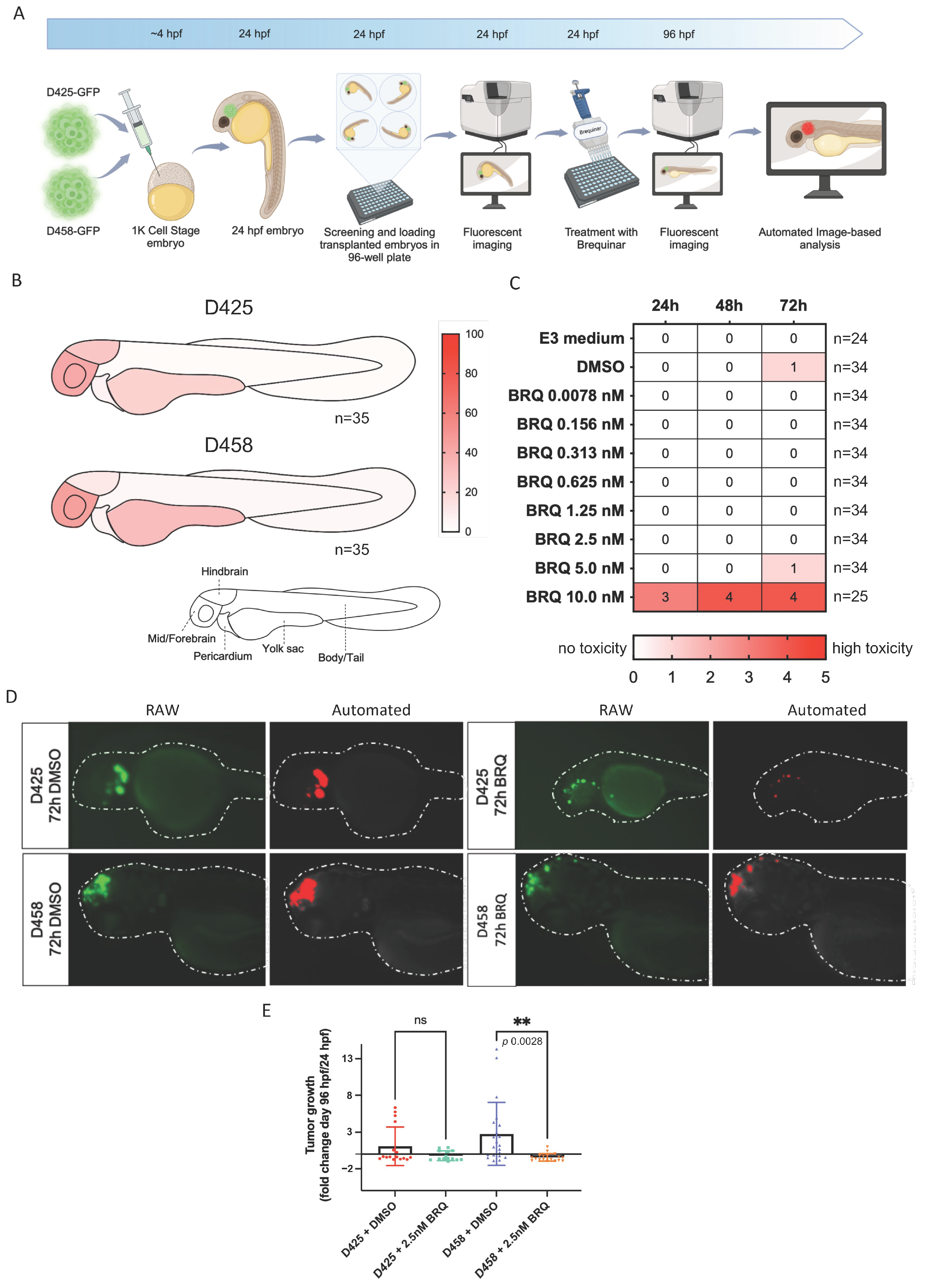 Cancers 16 04162 g004