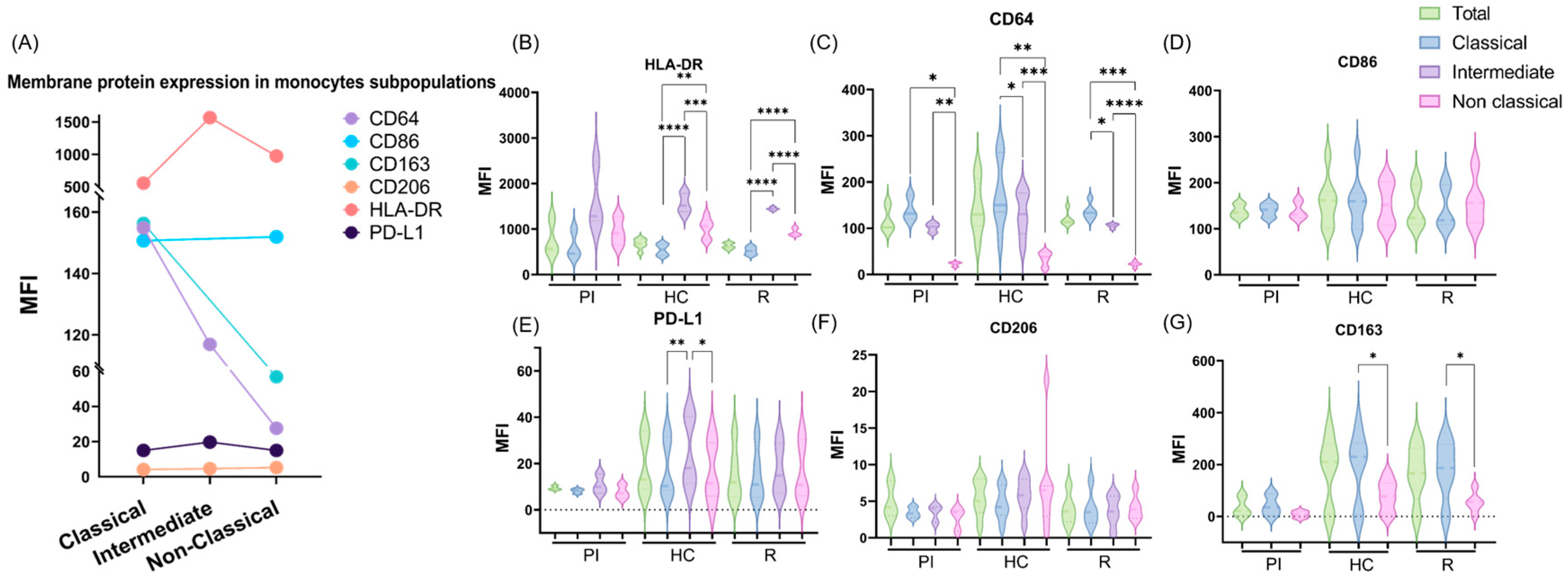 Cancers 16 04169 g002