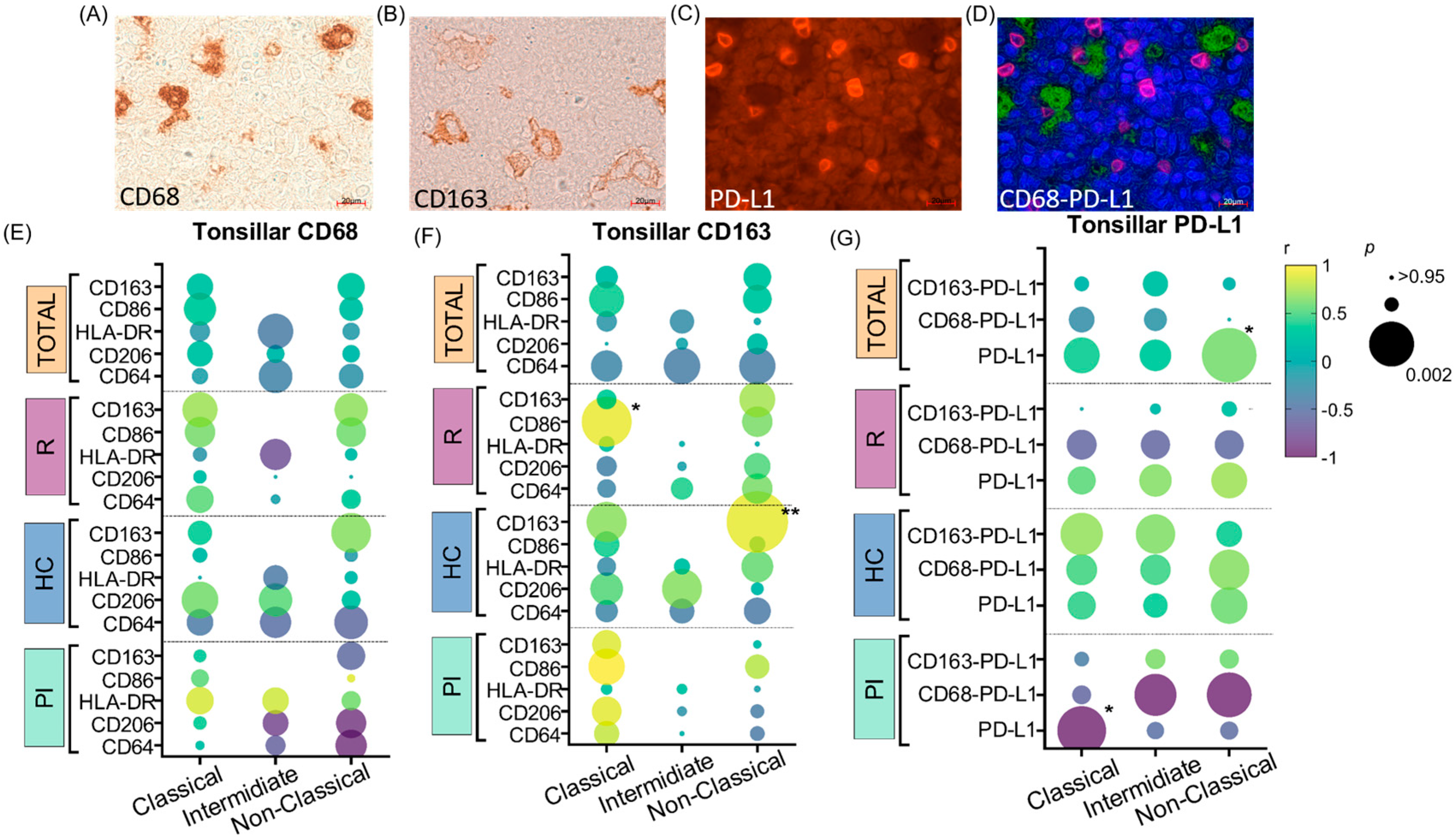 Cancers 16 04169 g003
