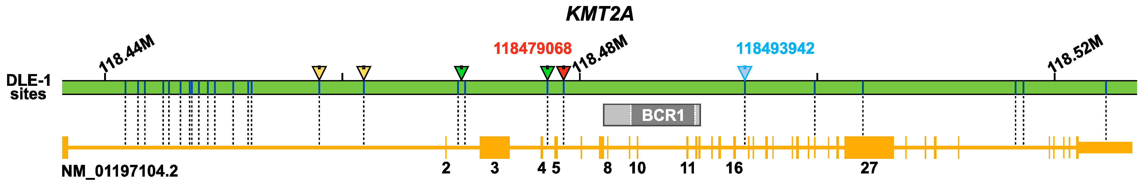 Cancers 16 04171 g001