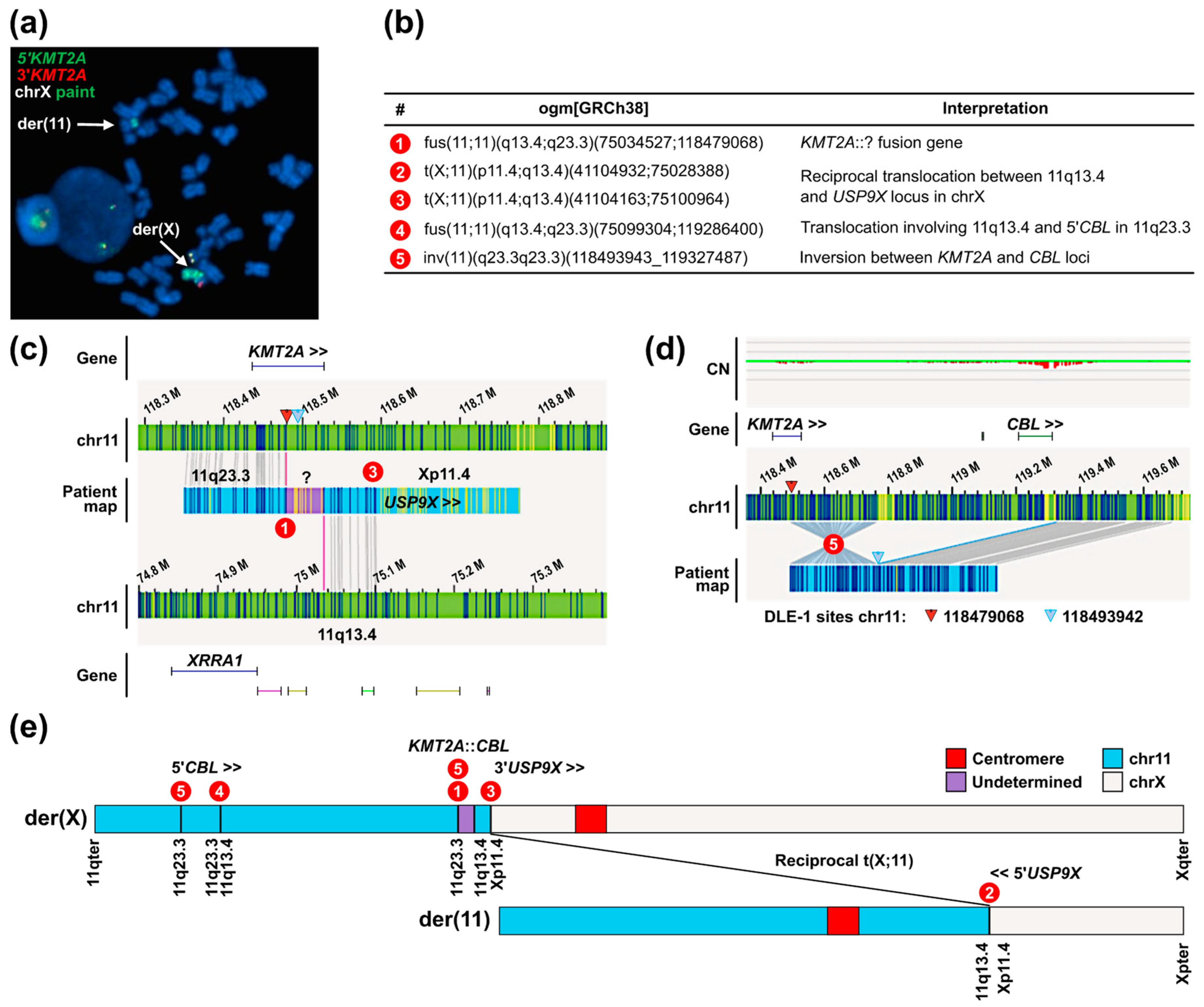 Cancers 16 04171 g002