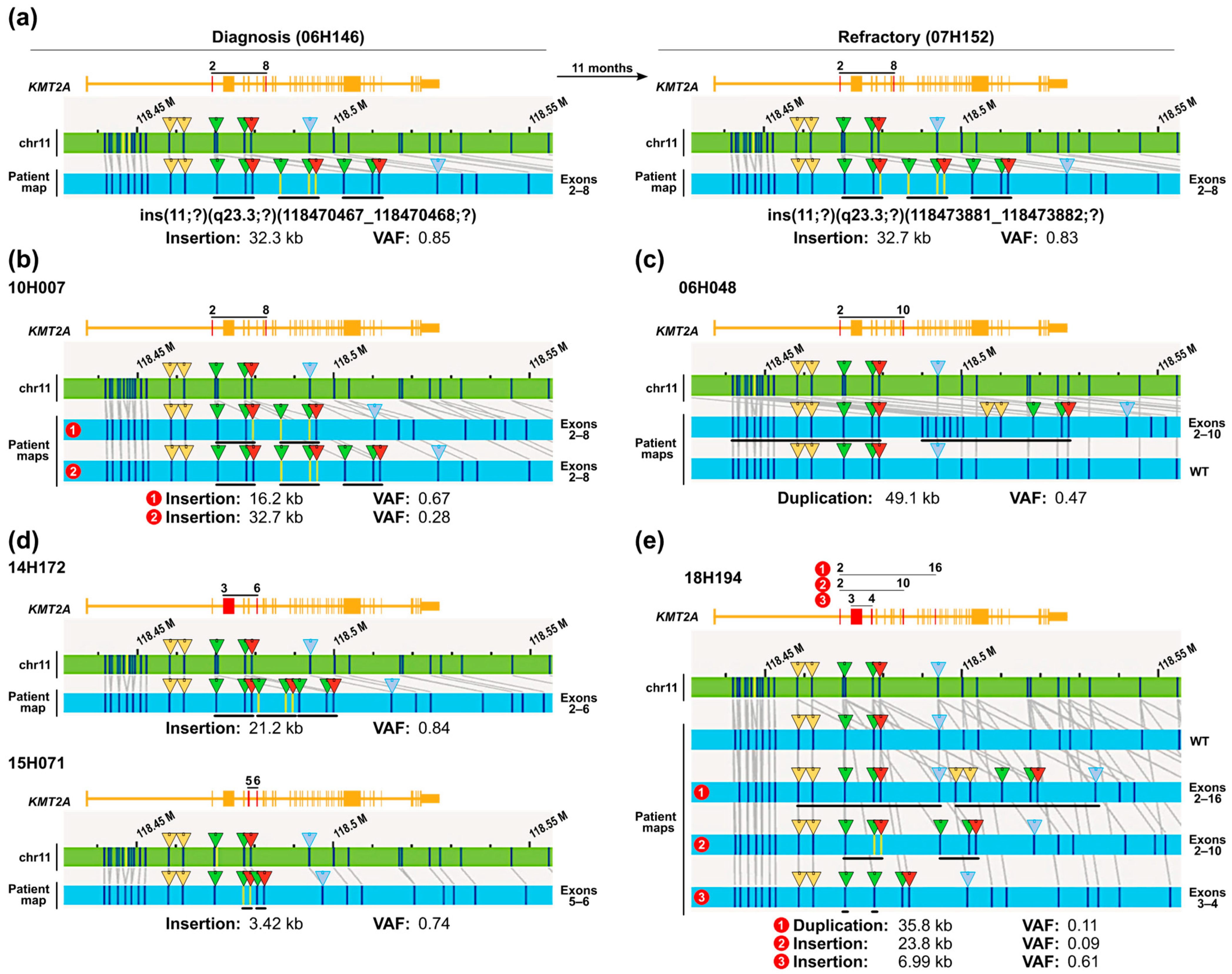 Cancers 16 04171 g003