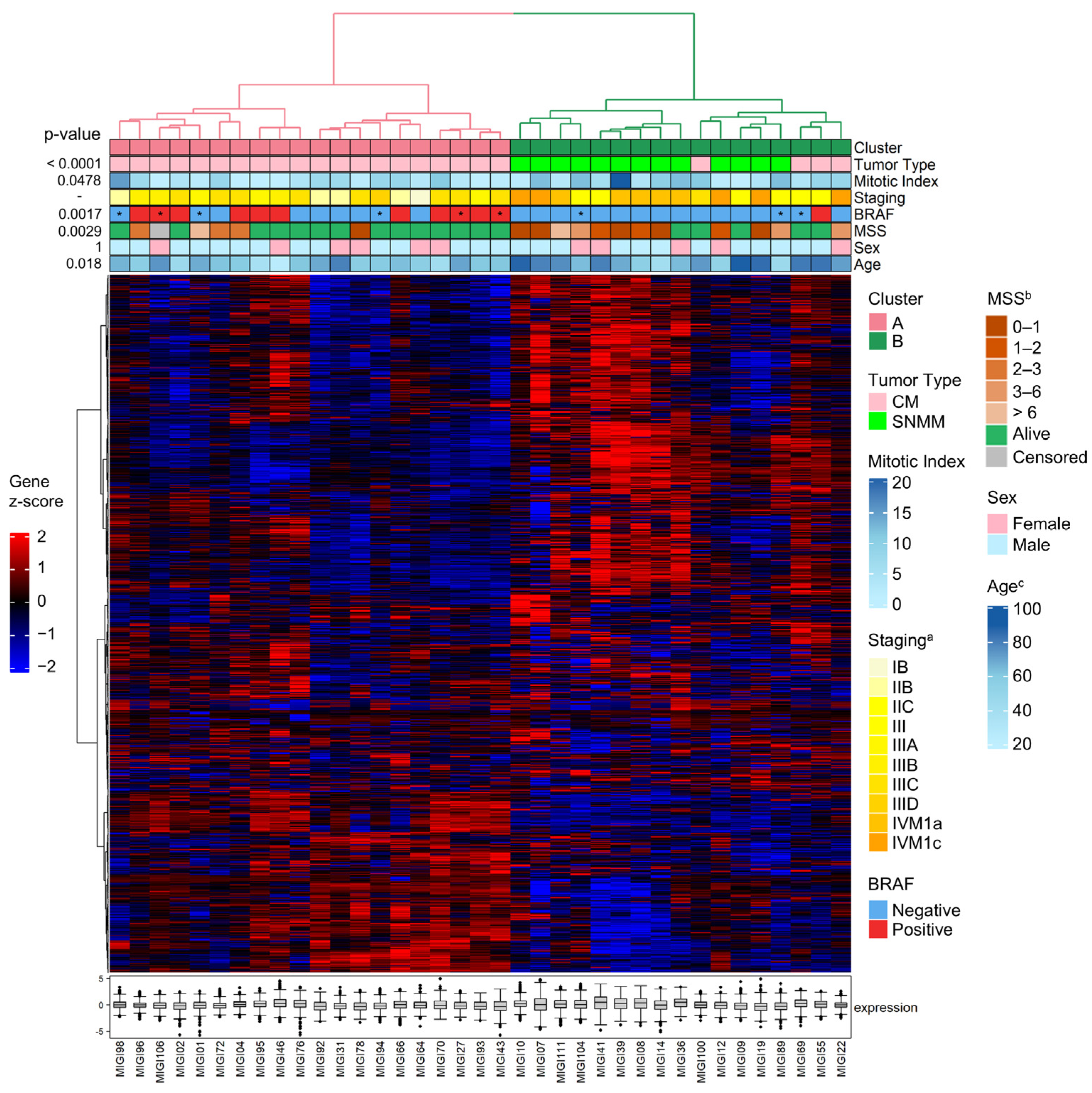 Cancers 16 04172 g001