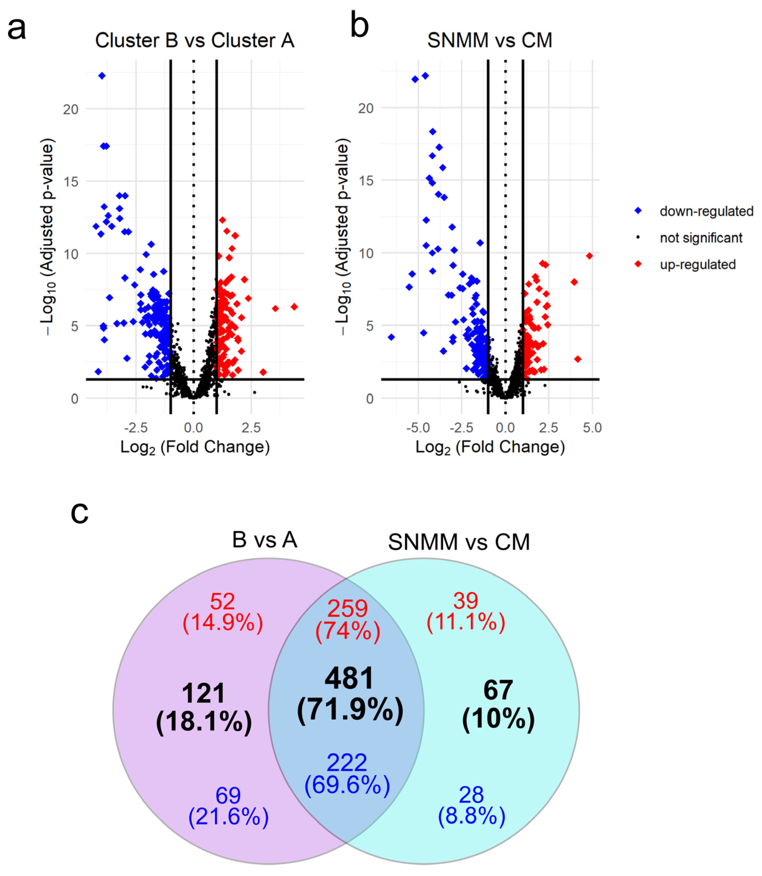 Cancers 16 04172 g003