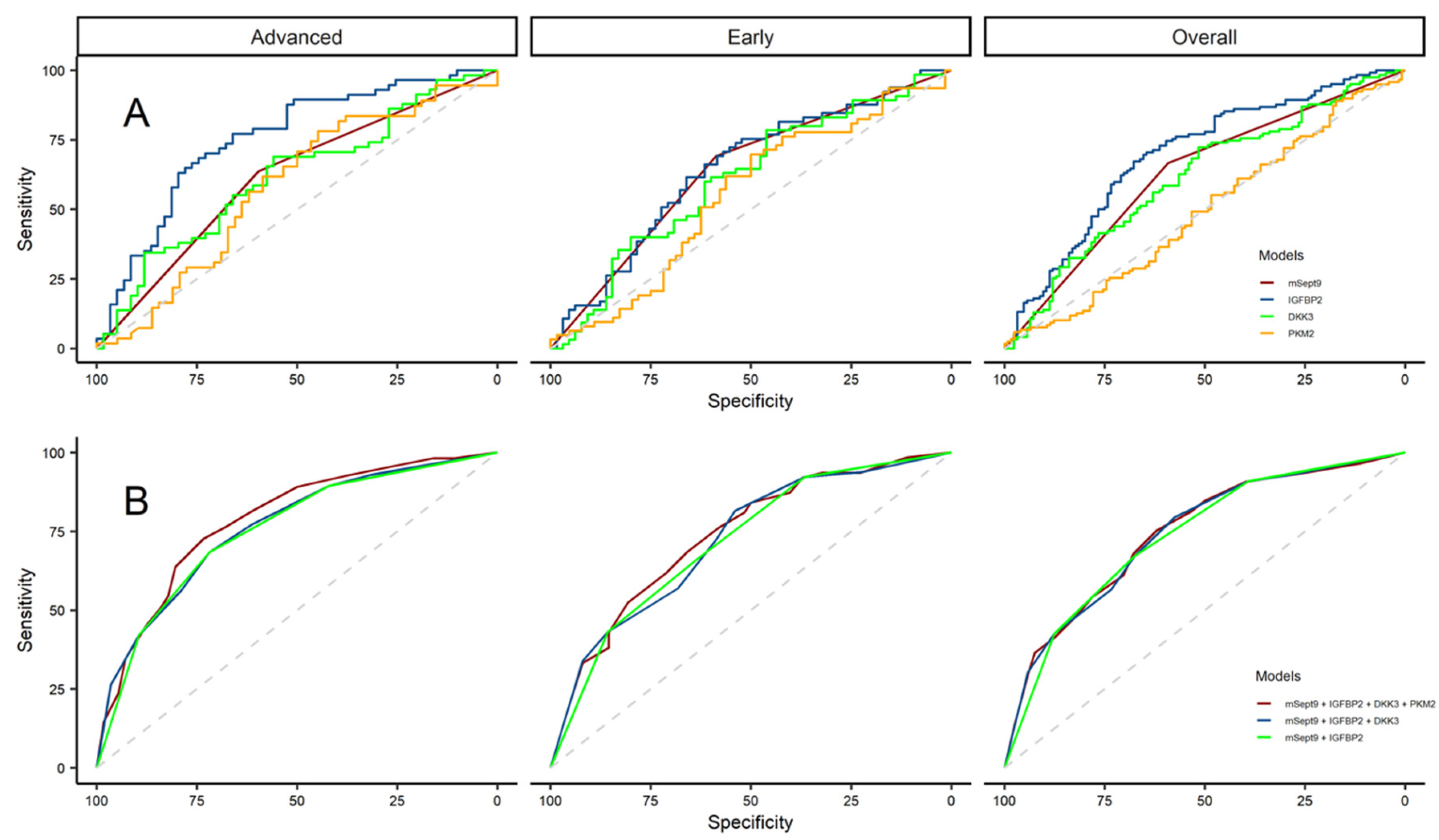 Cancers 16 04176 g001