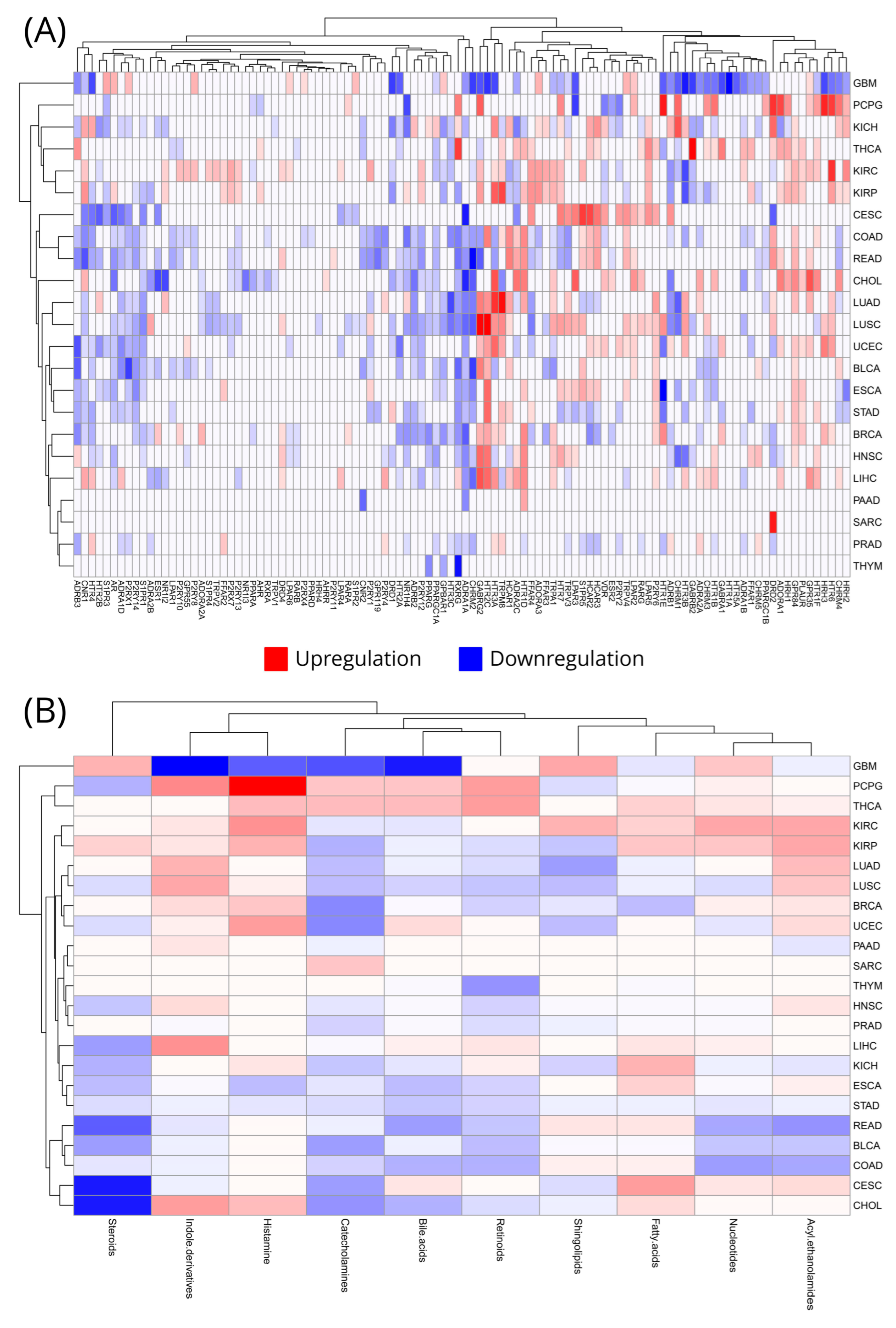 Cancers 16 04178 g002