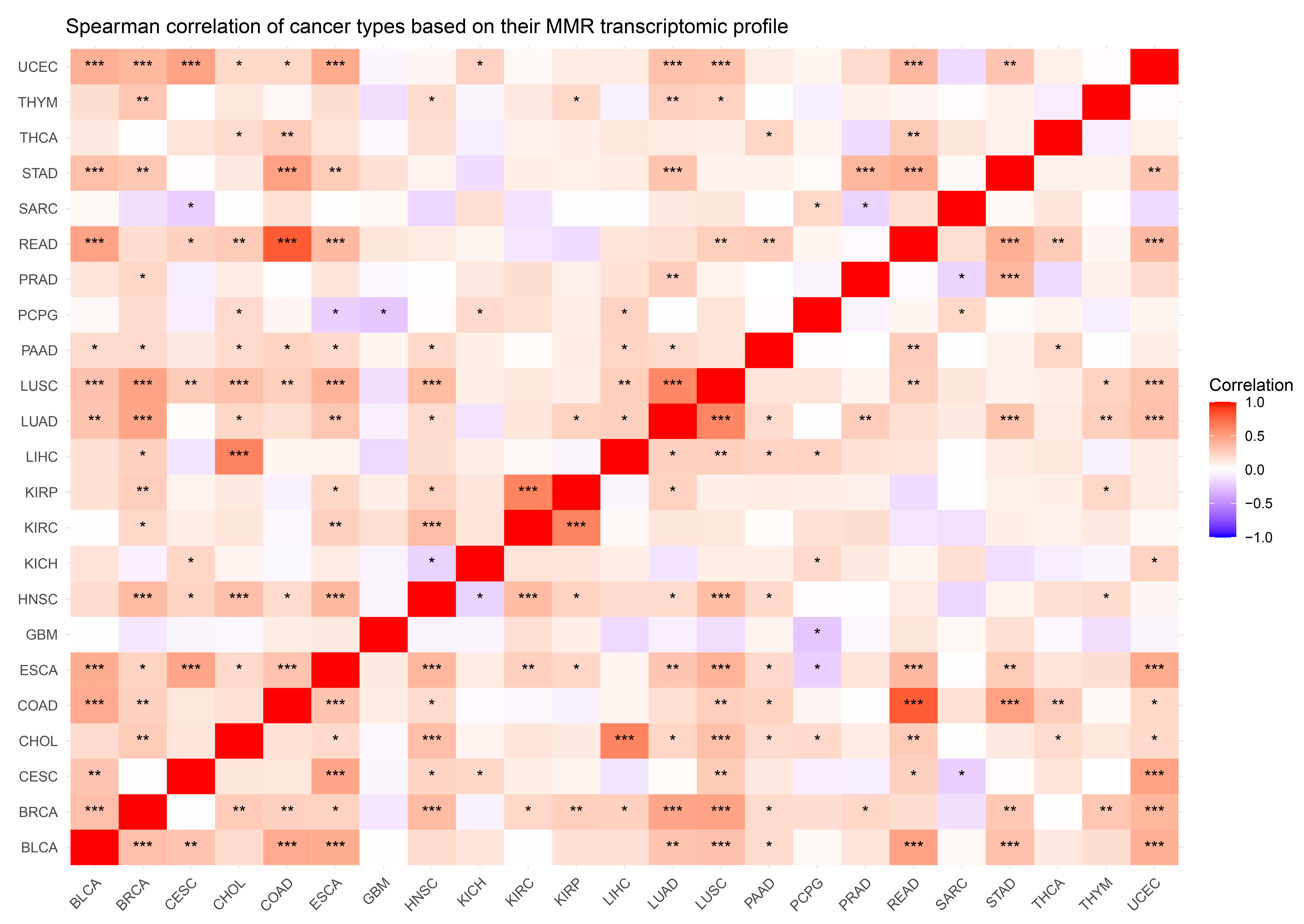 Cancers 16 04178 g004