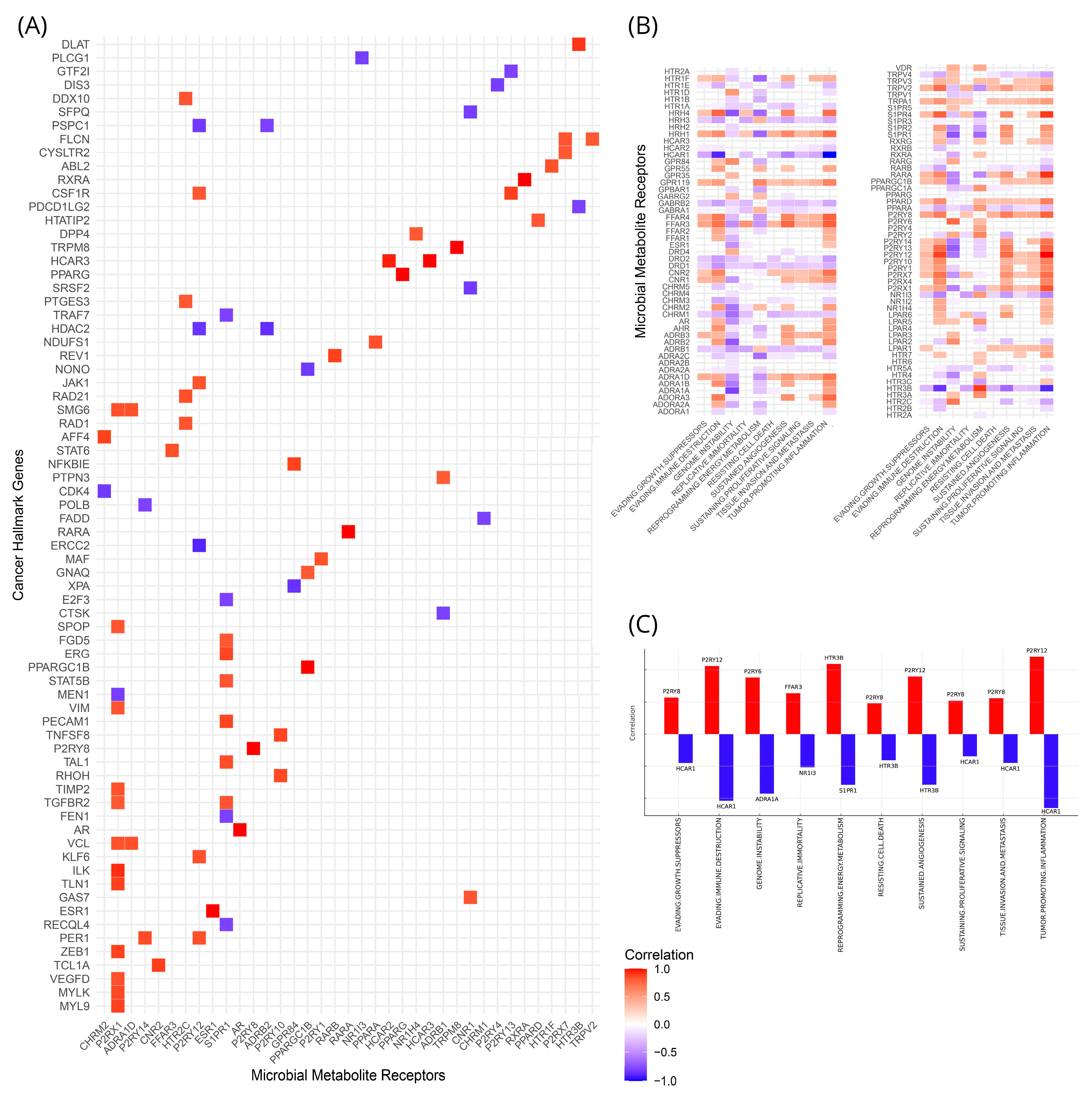 Cancers 16 04178 g005