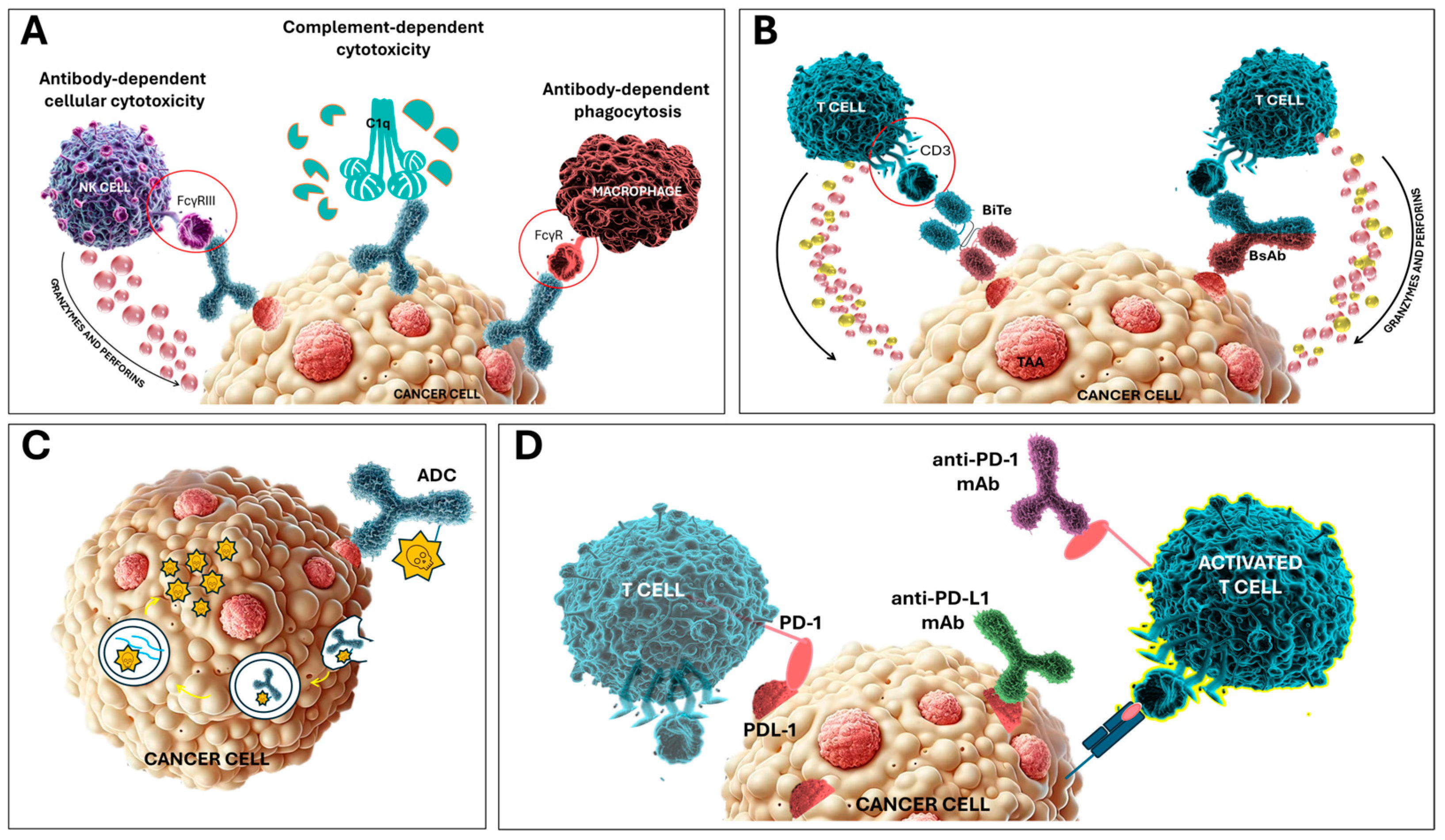 Cancers 16 04181 g001