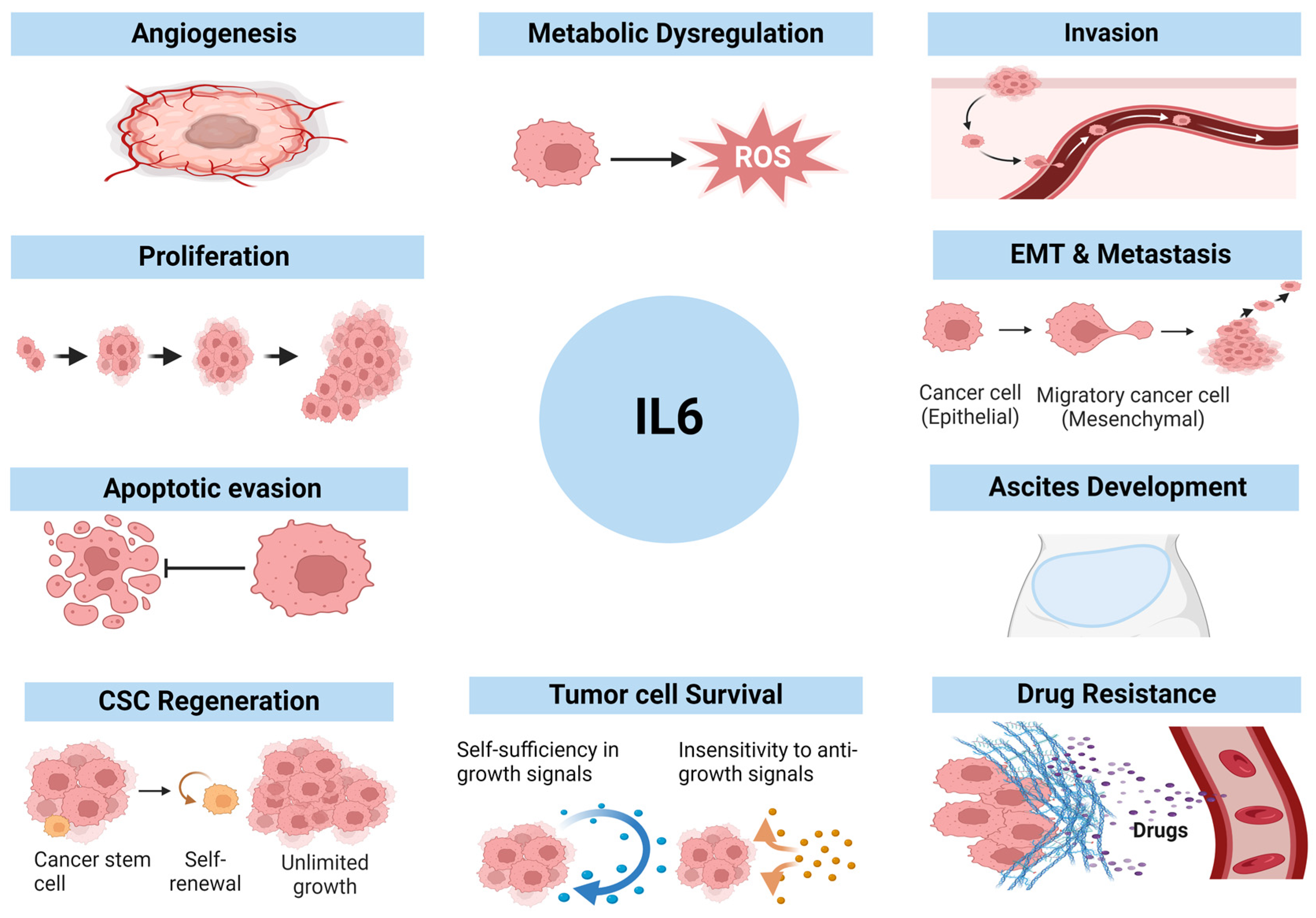 Cancers 16 04187 g002
