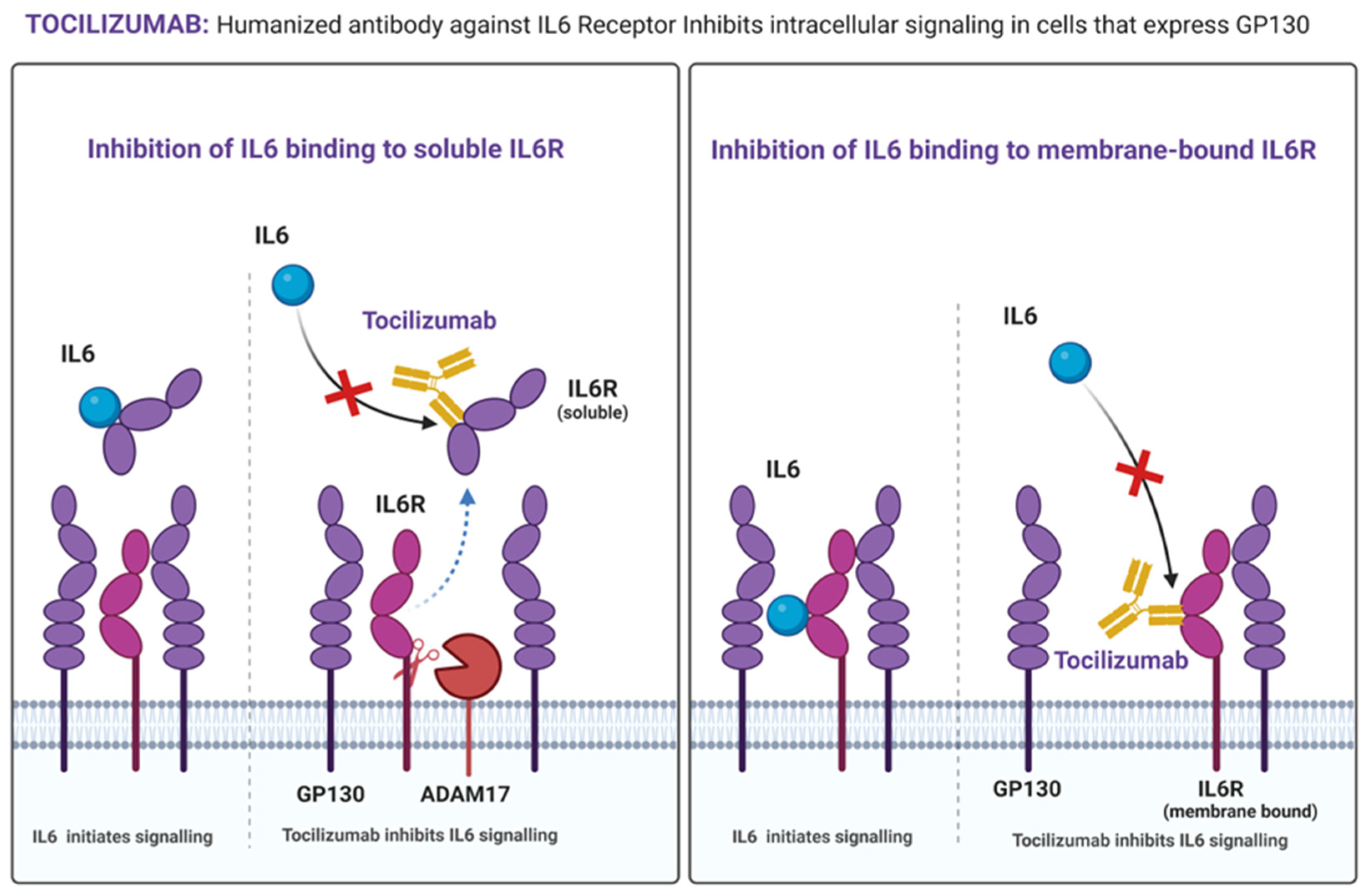 Cancers 16 04187 g004