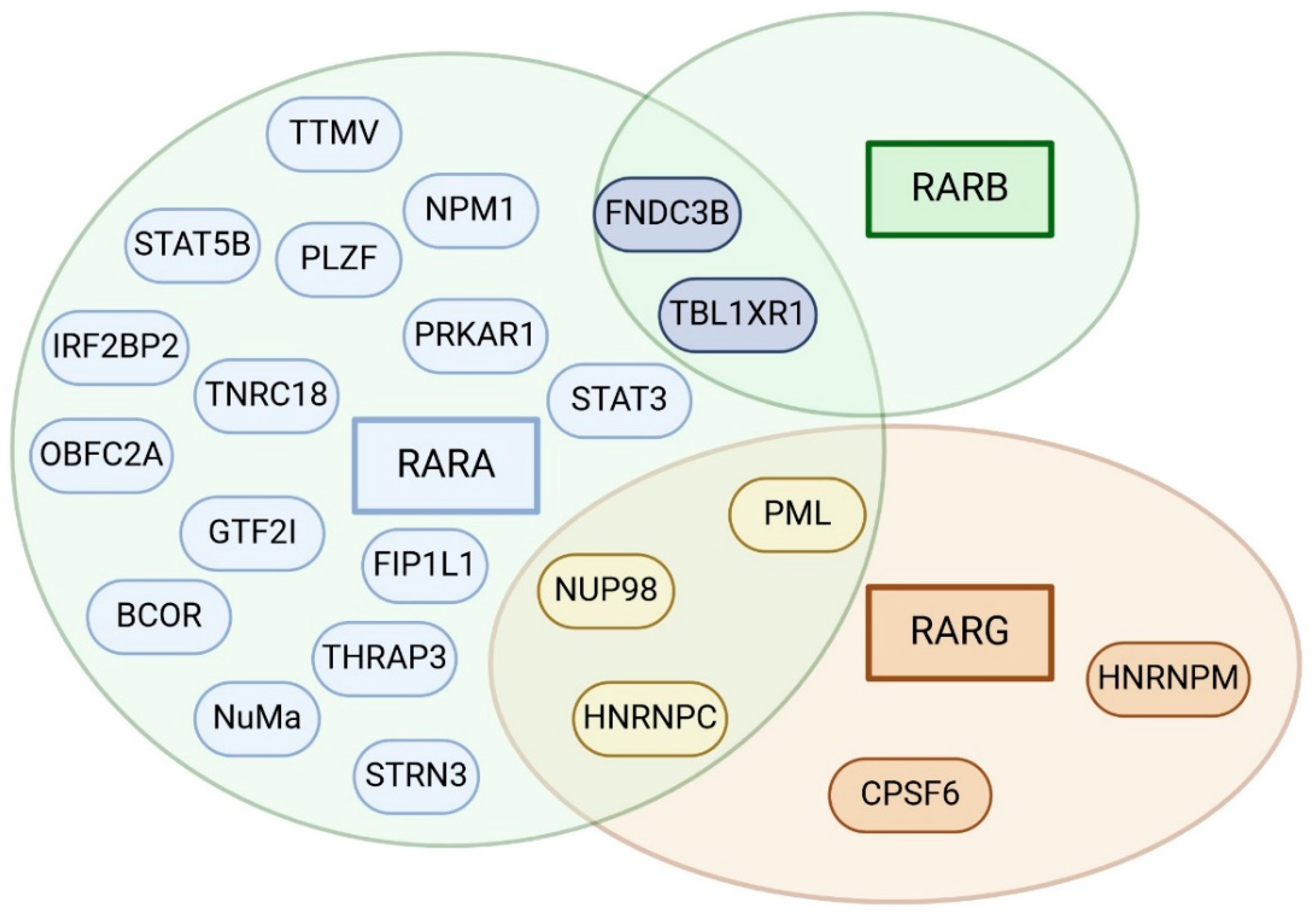 Cancers 16 04192 g001 Cancers 16 04192 g001