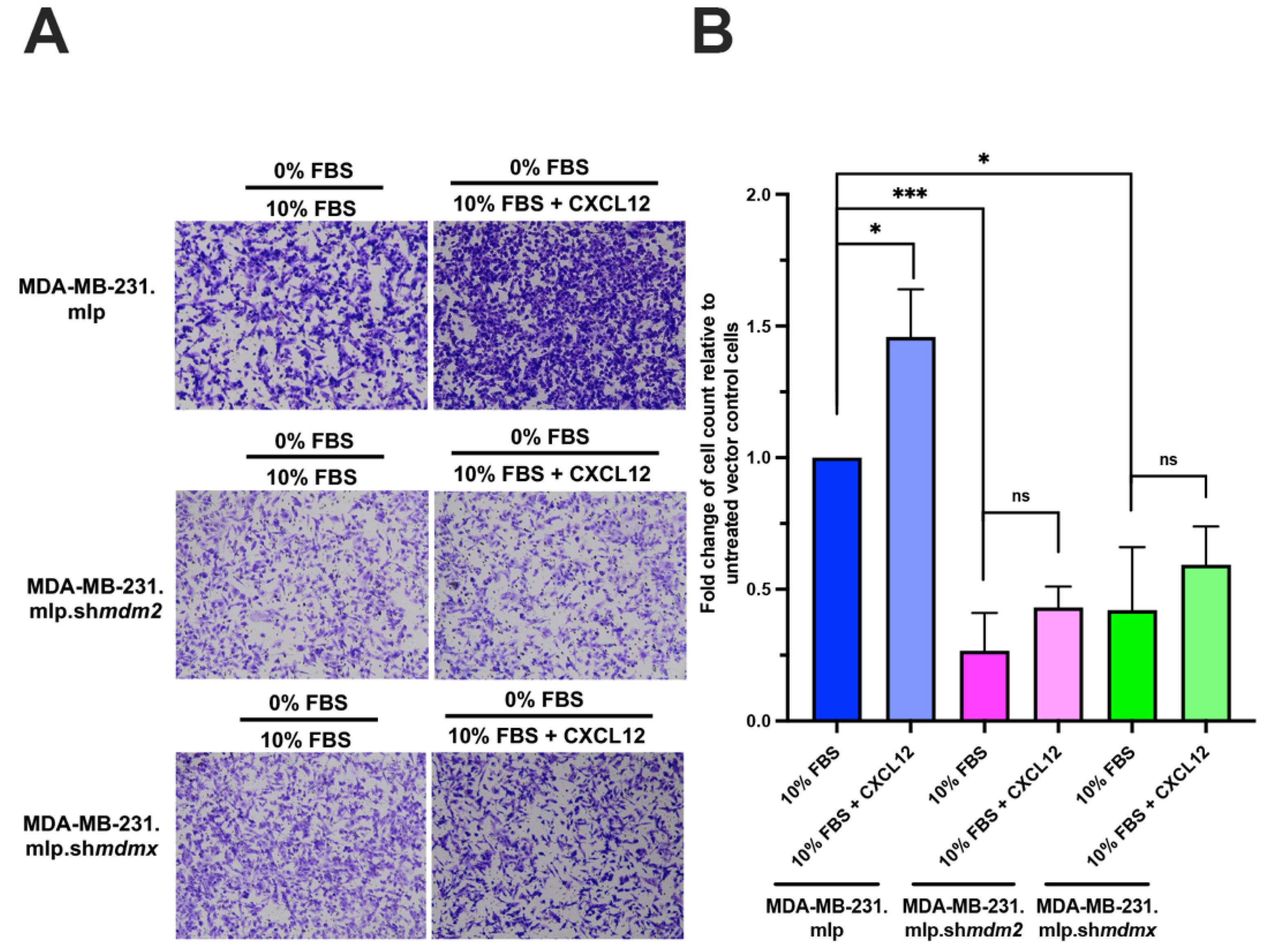 Cancers 16 04194 g003