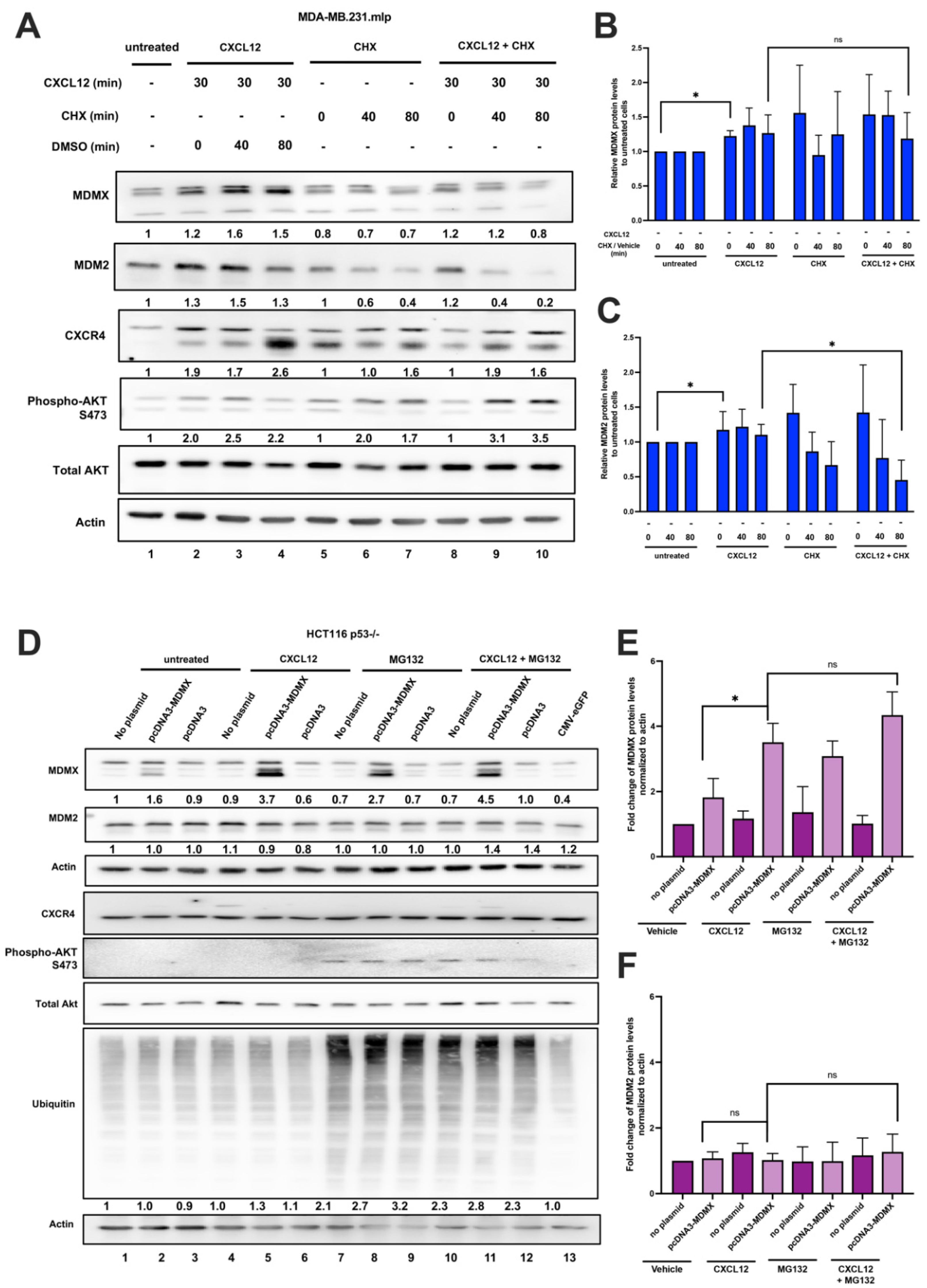 Cancers 16 04194 g005