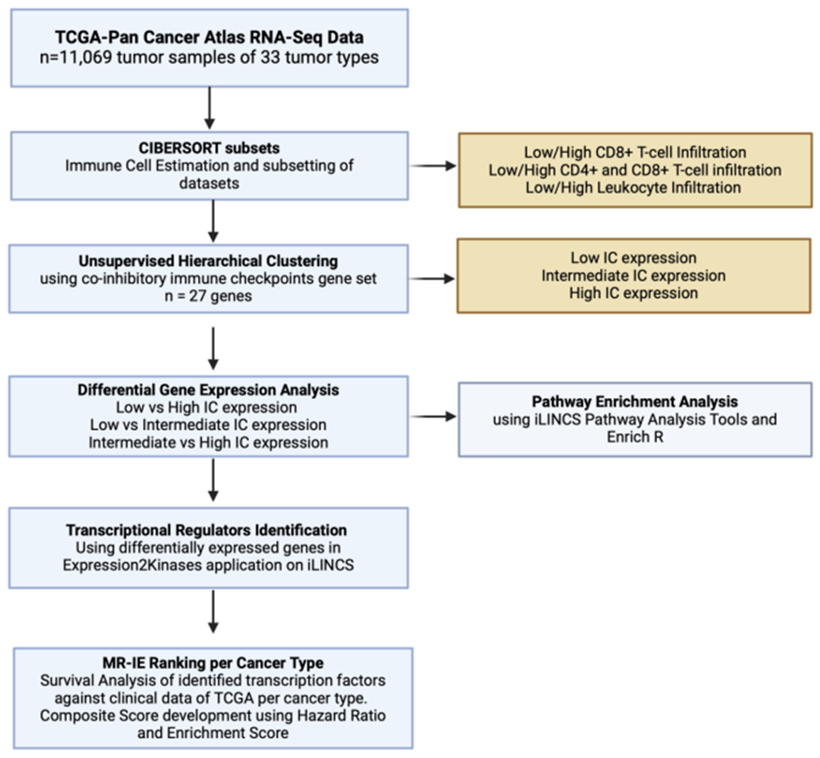 Cancers 16 04197 g001