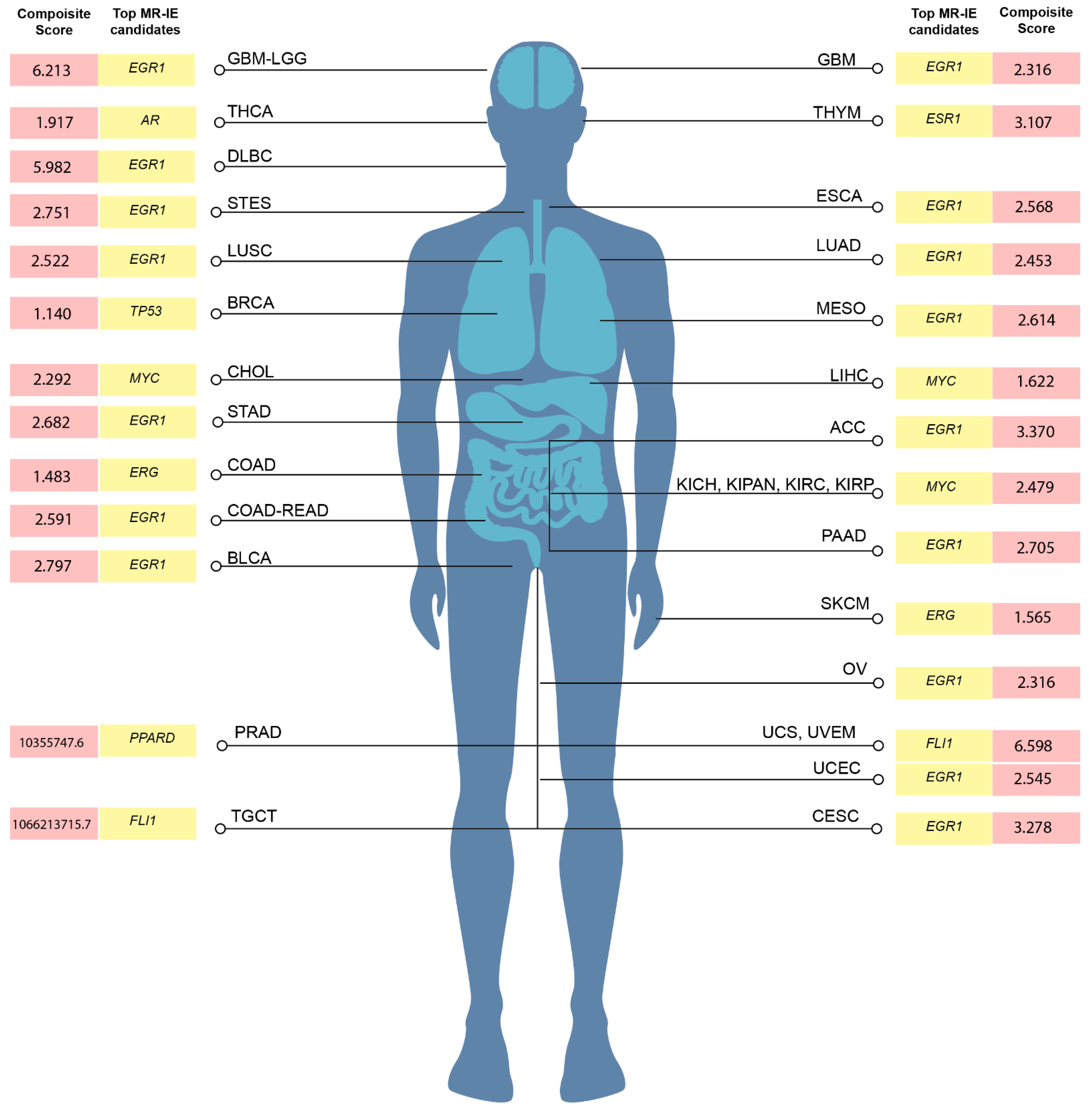 Cancers 16 04197 g003