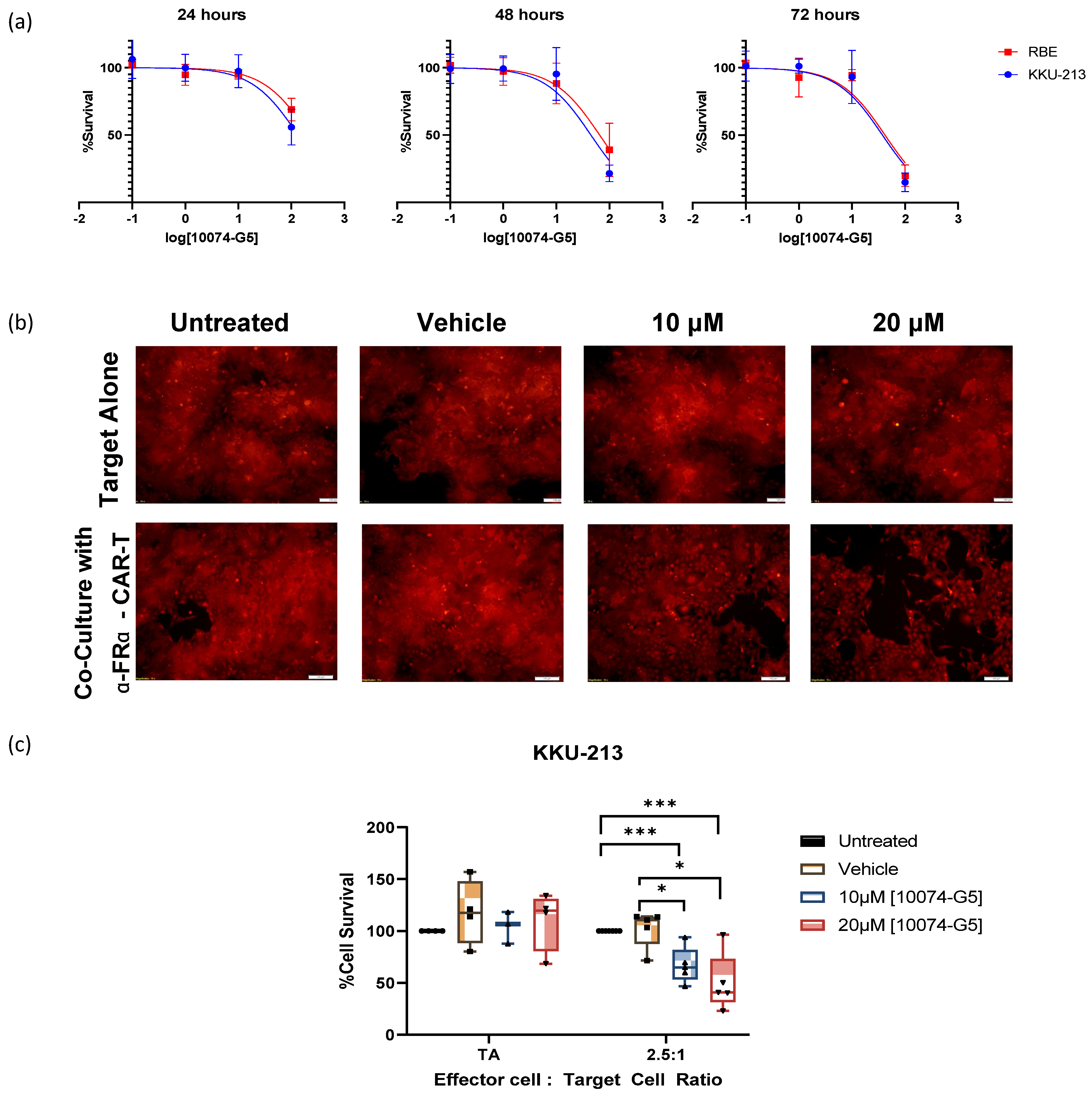 Cancers 16 04197 g006