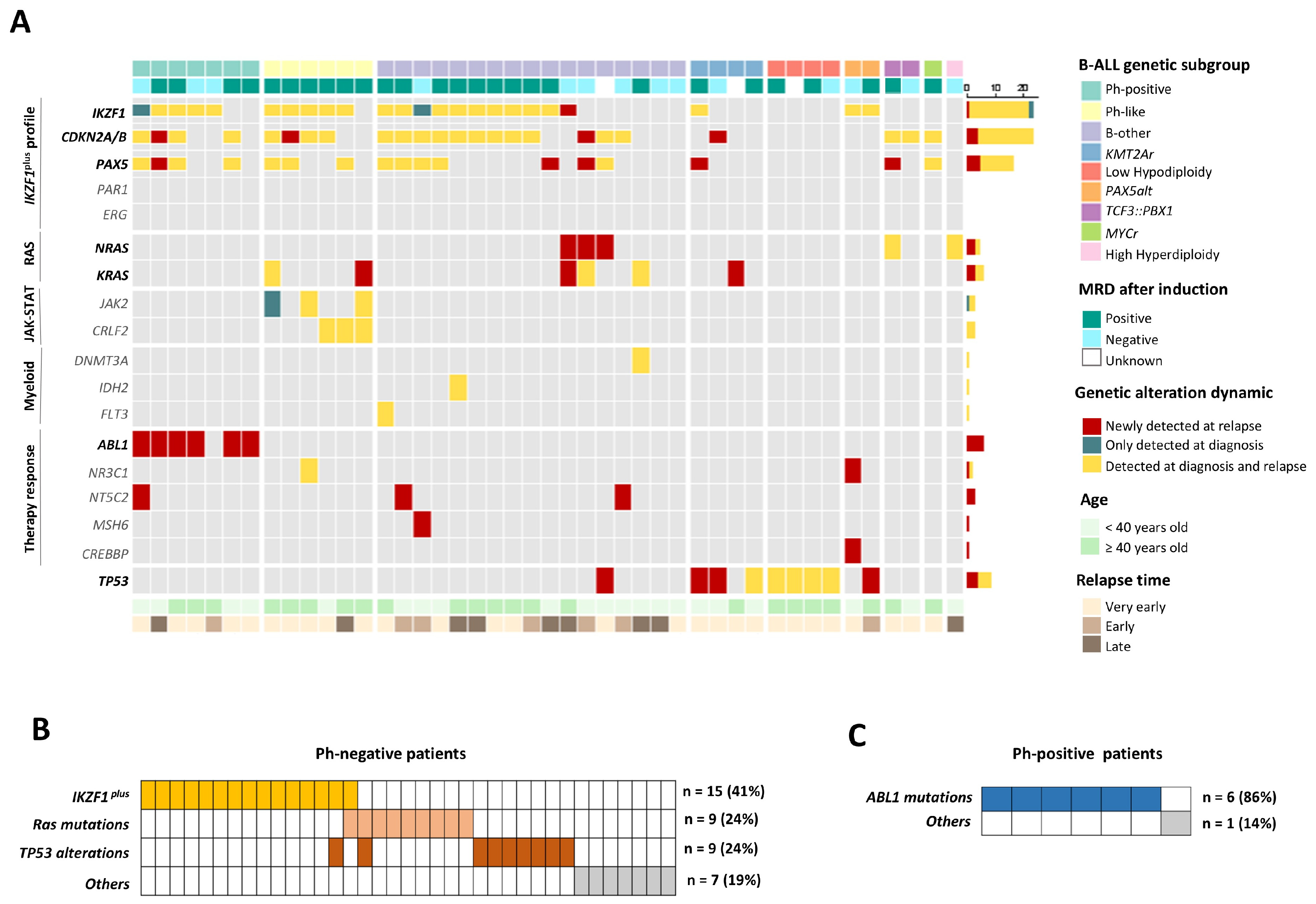 Cancers 16 04200 g002