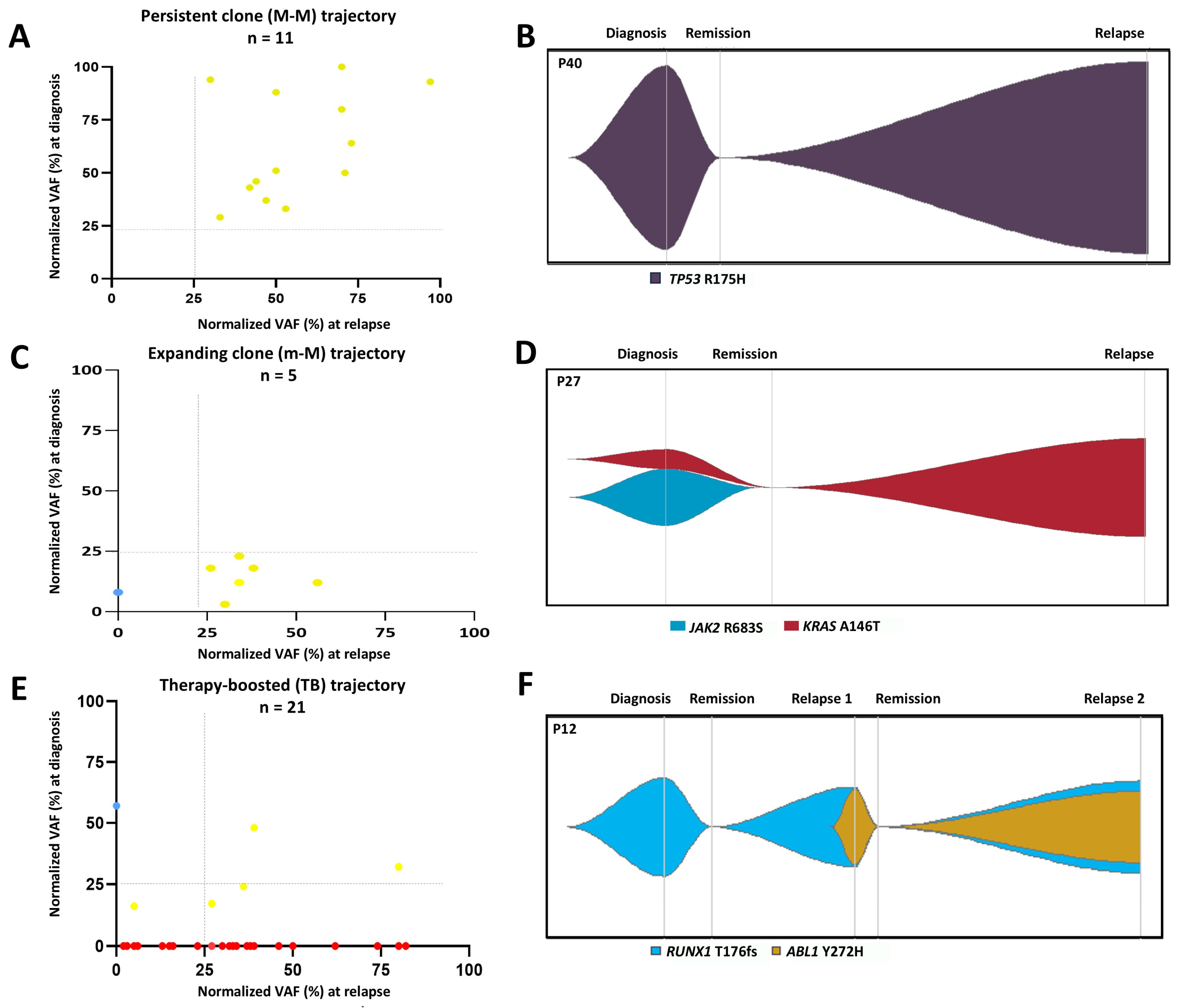 Cancers 16 04200 g005