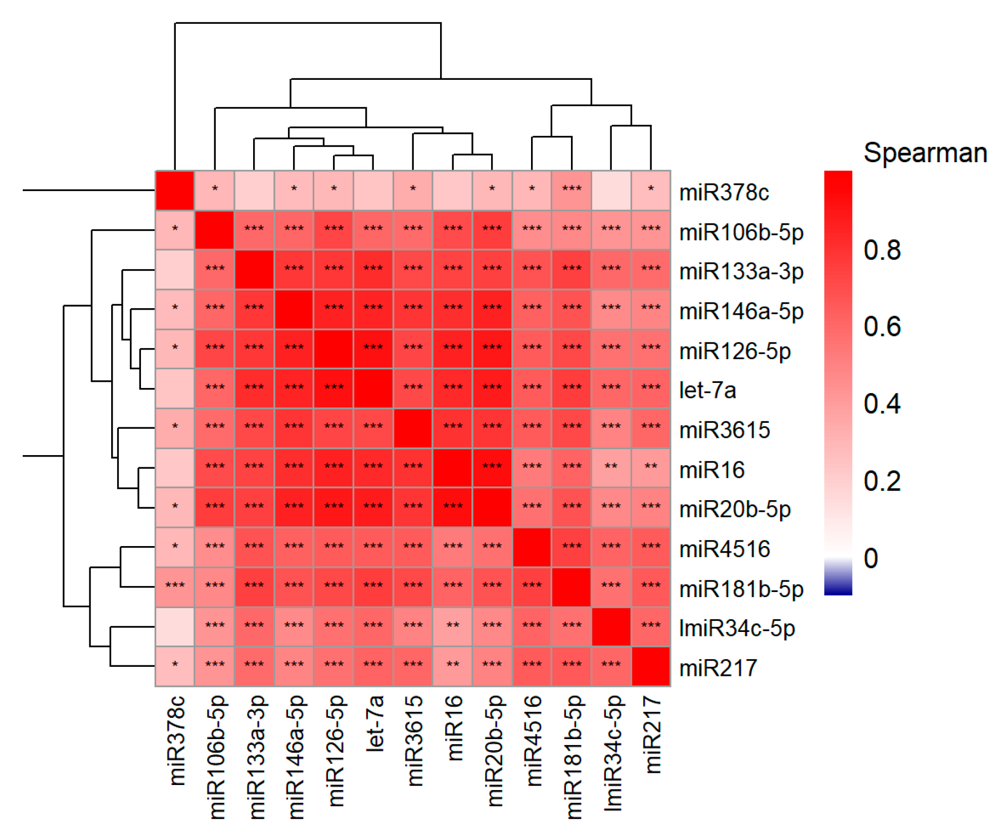 Cancers 16 04202 g005