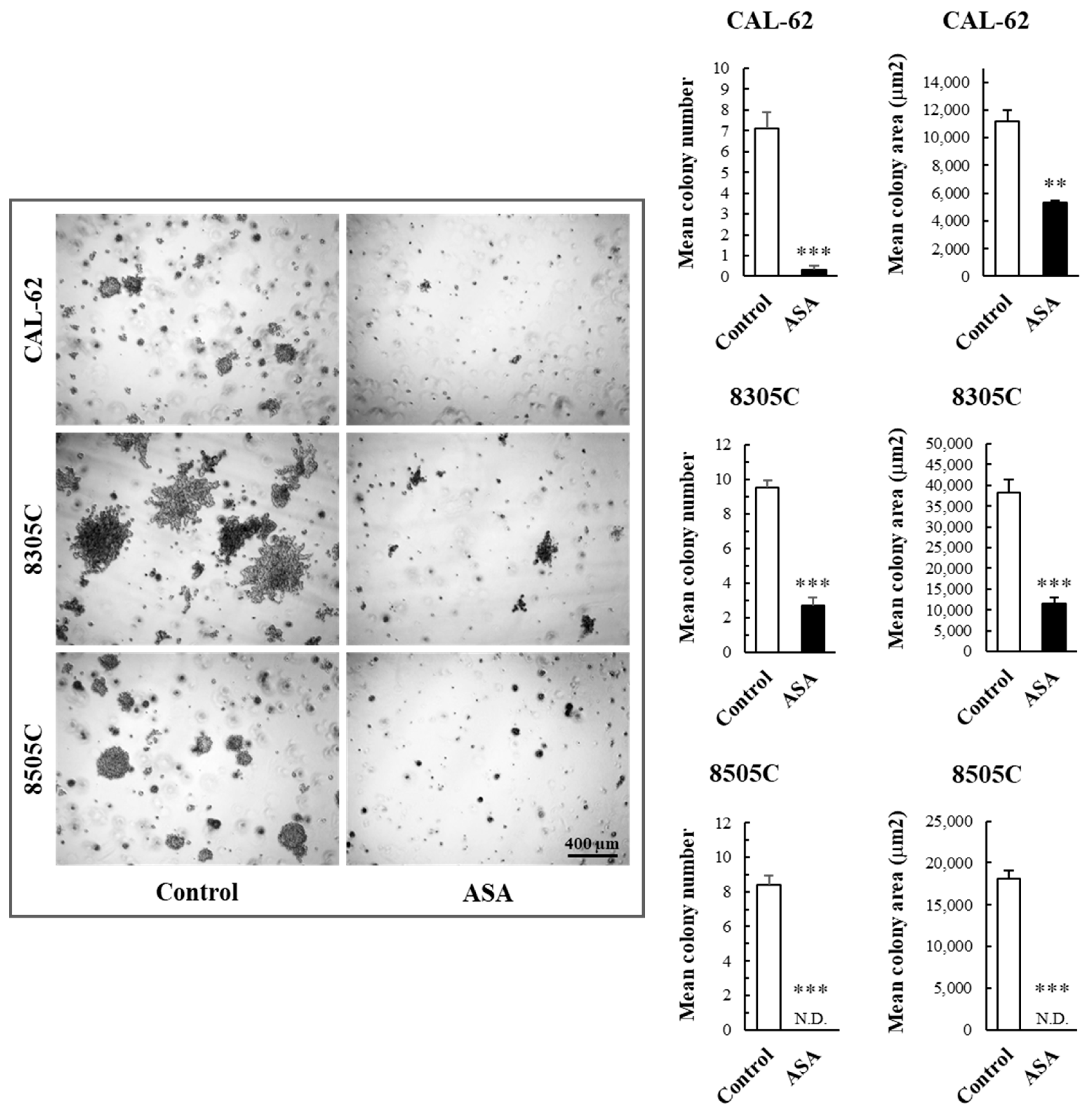 Cancers 16 04203 g004 Cancers 16 04203 g004